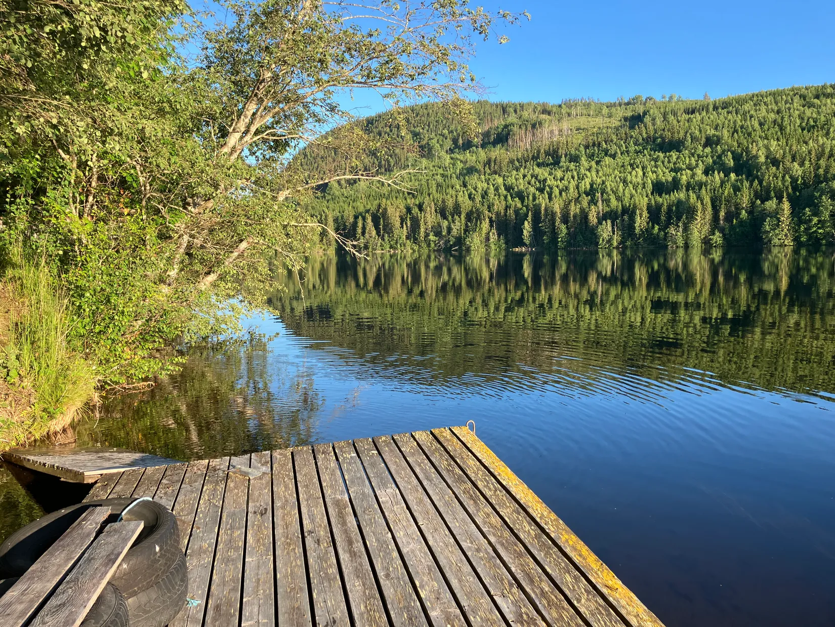 Gård/Skog, Gevåg 507, Hammarstrand, Ragunda