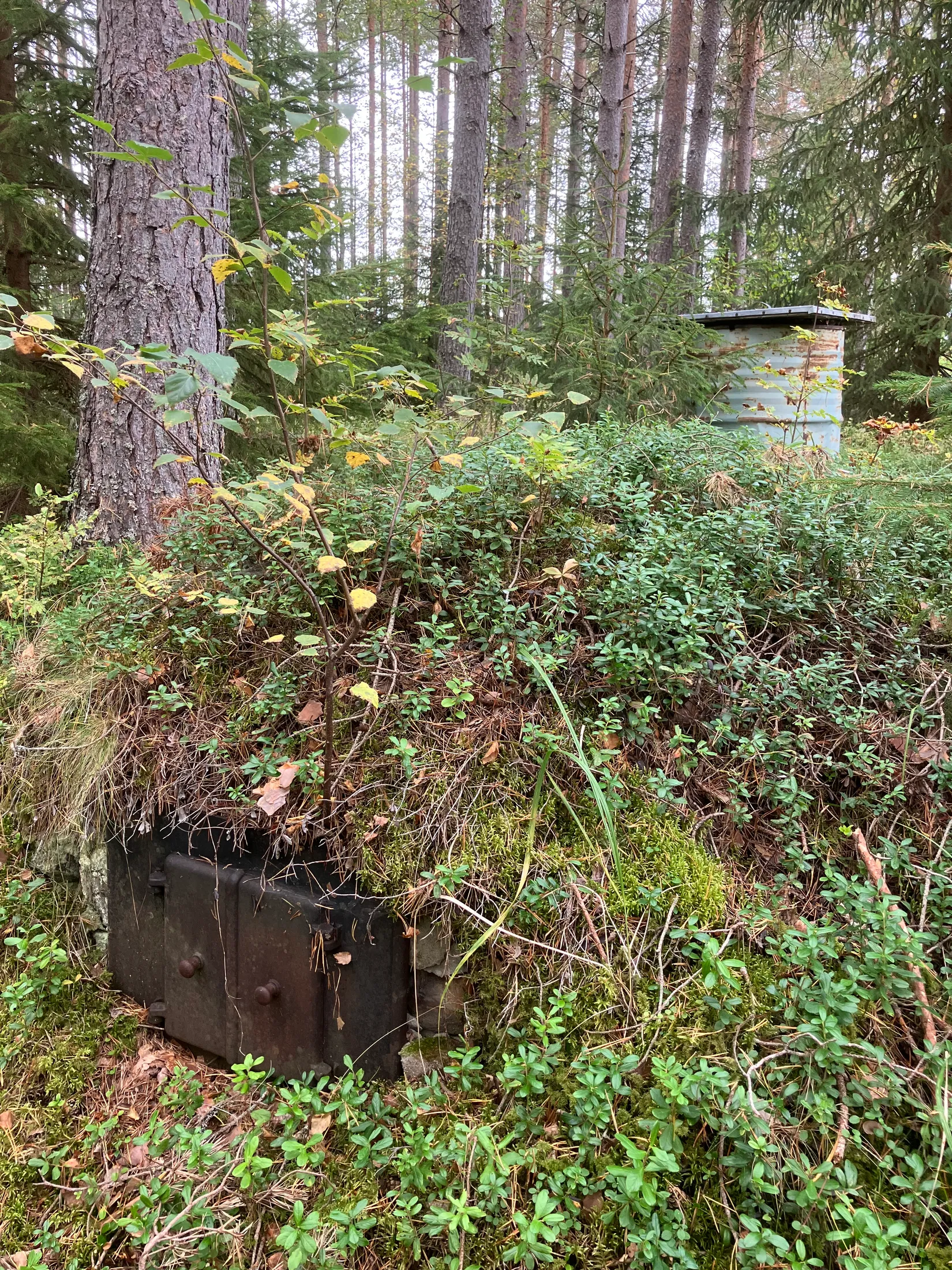 Gård/Skog, Gevåg 507, Hammarstrand, Ragunda