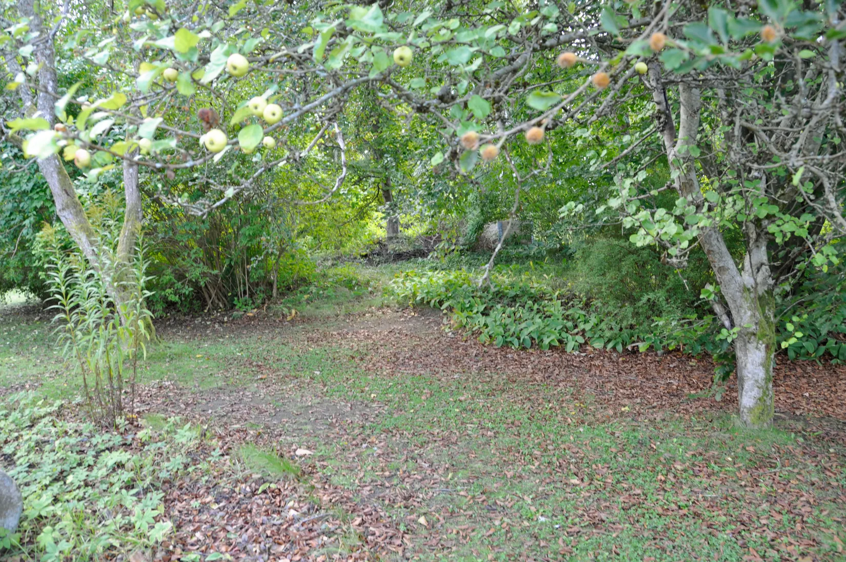 Villa, Skärmvägen 5, Markaryd