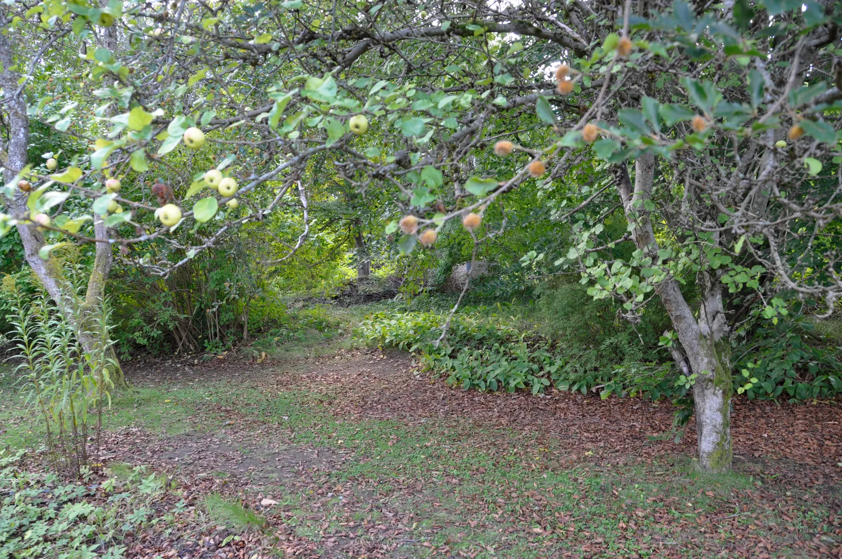 Villa, Skärmvägen 5, Markaryd