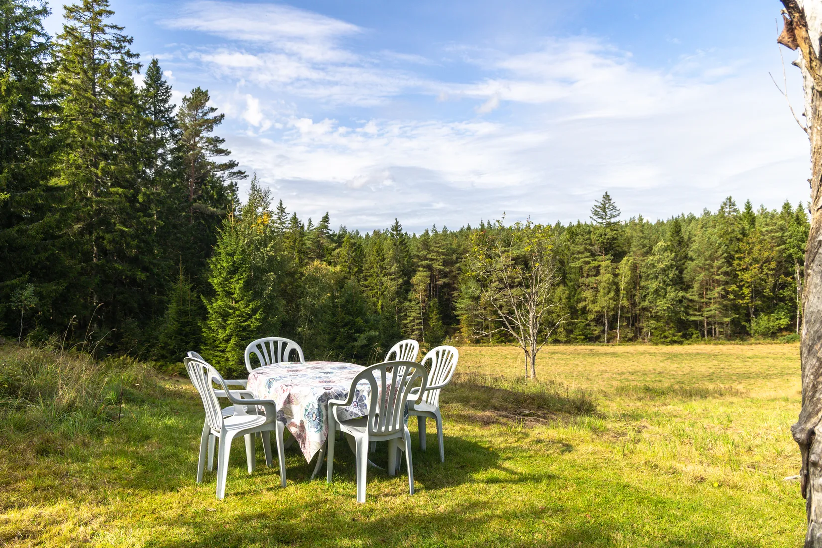 Gård/Skog, Brunebergsvägen 6, Lerum - Gamlebo, Lerum
