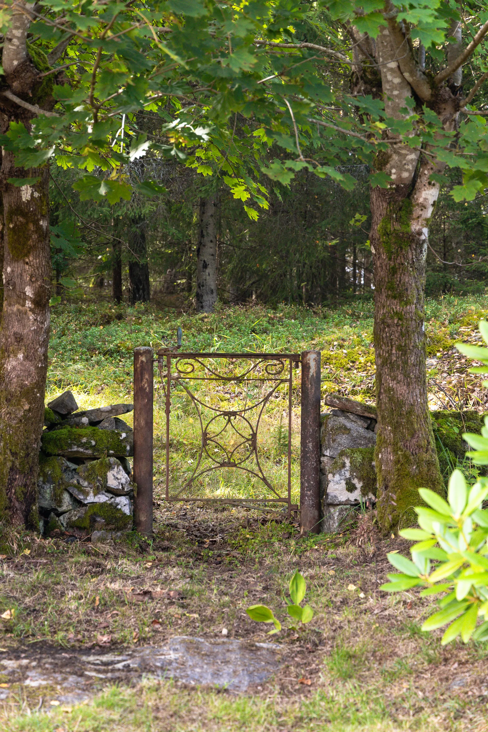 Gård/Skog, Brunebergsvägen 6, Lerum - Gamlebo, Lerum