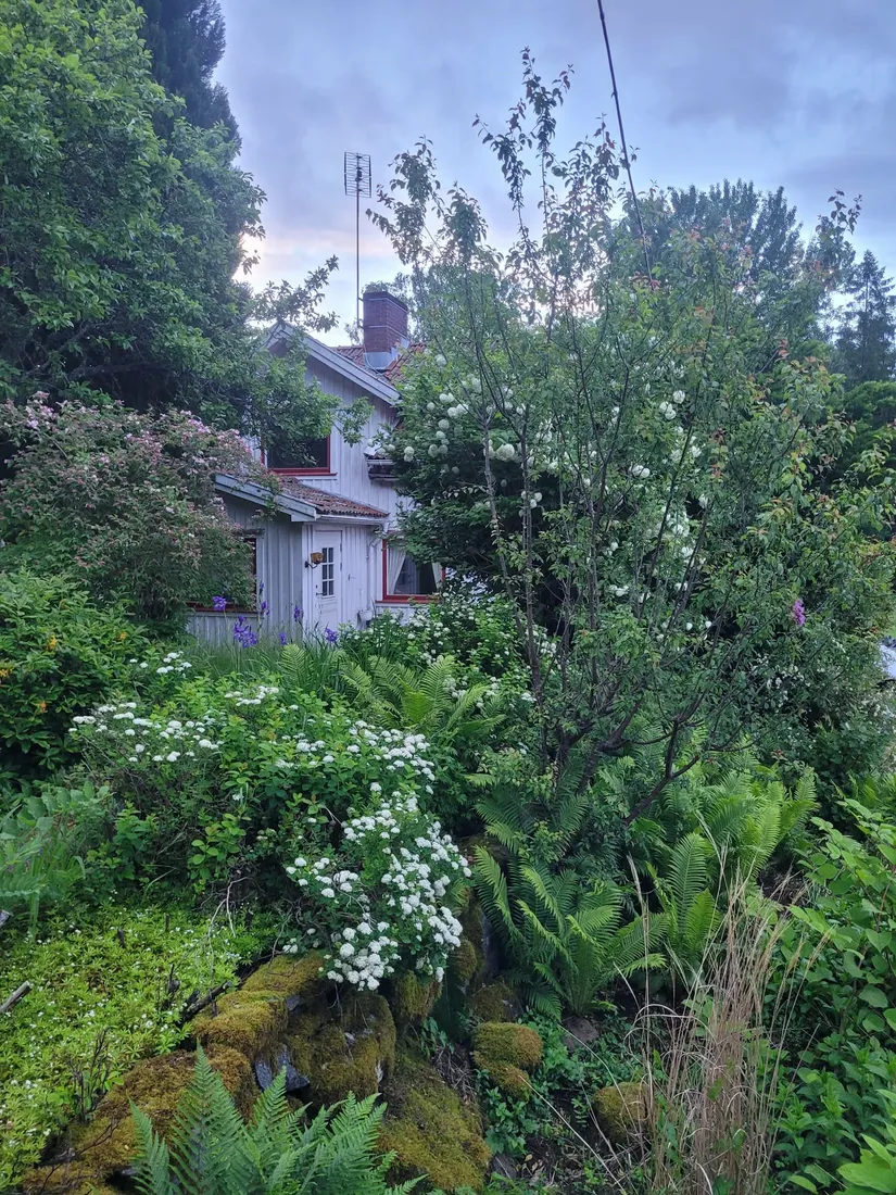 Gård/Skog, Brunebergsvägen 6, Lerum - Gamlebo, Lerum