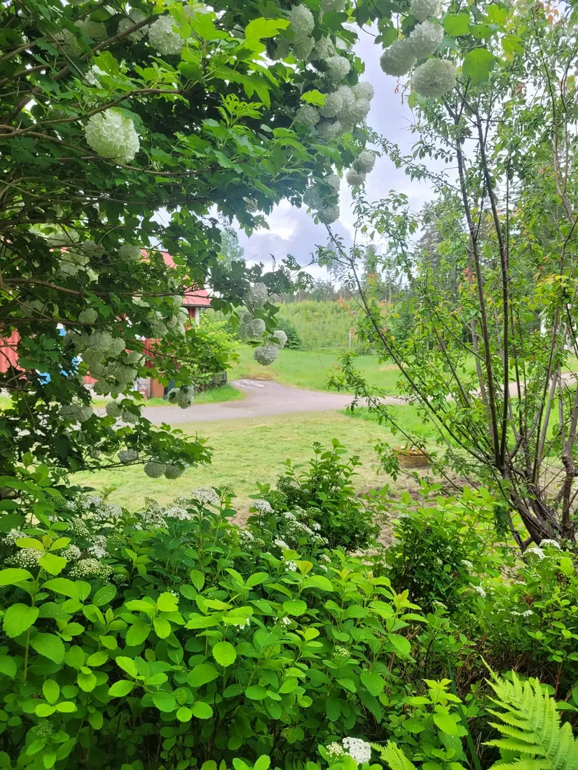 Gård/Skog, Brunebergsvägen 6, Lerum - Gamlebo, Lerum