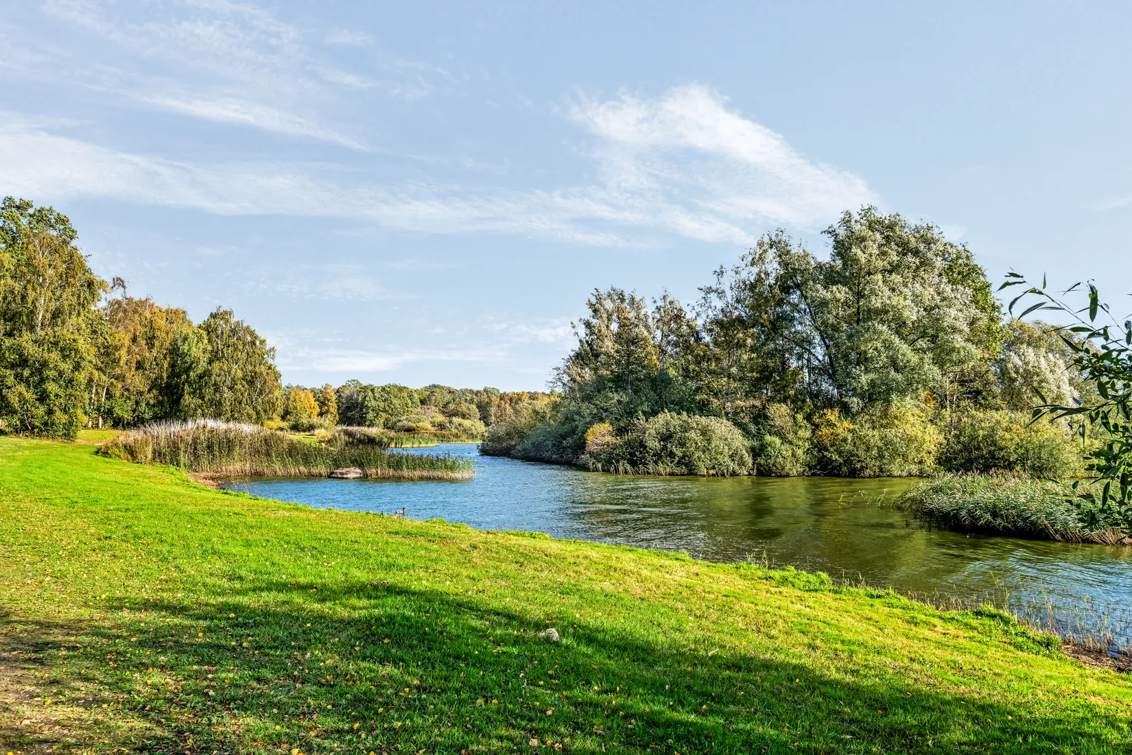 Villa, Gösvägen 17, Hässleholm - Sjörröd, Hässleholm