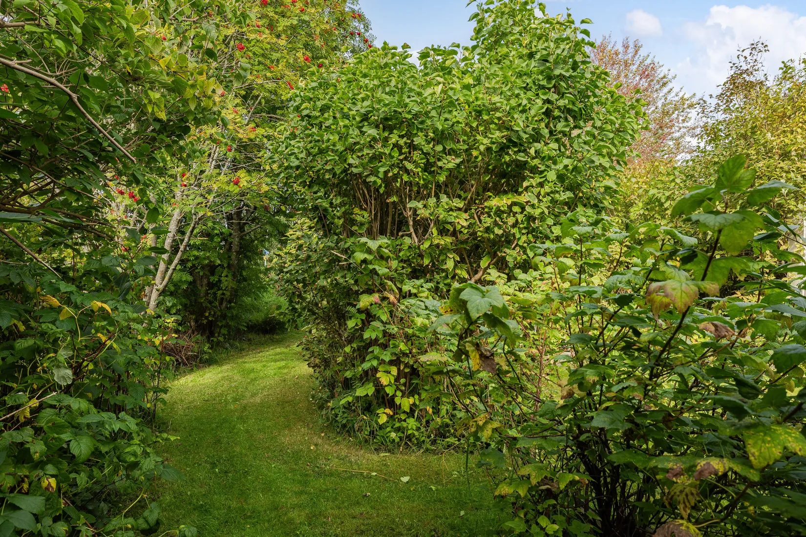 Radhus, Sehlstedtsvägen 6A, Murberget/Änget, Härnösand