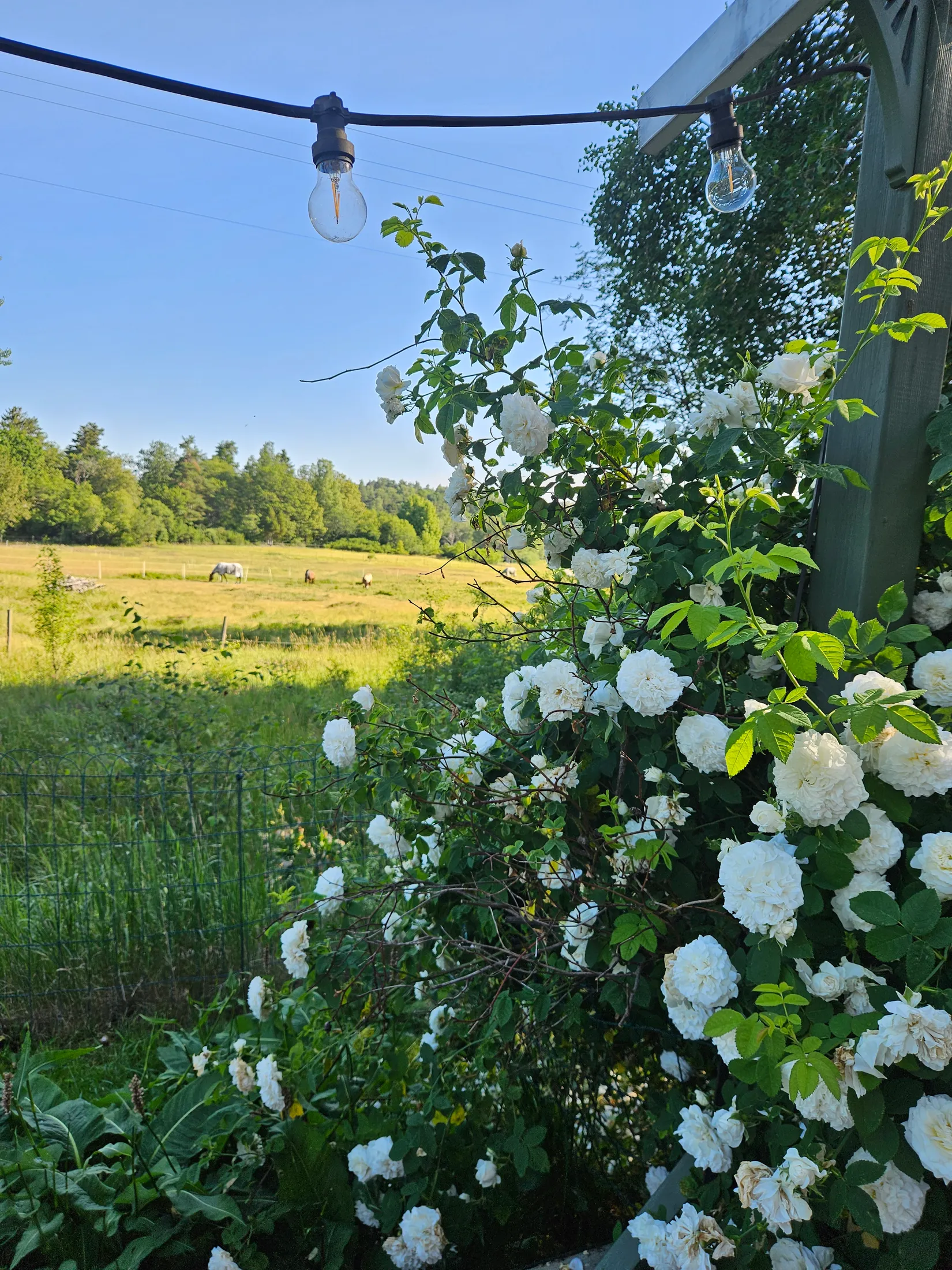 Villa, Björkåkravägen 16B, Säby Gård, Österåker