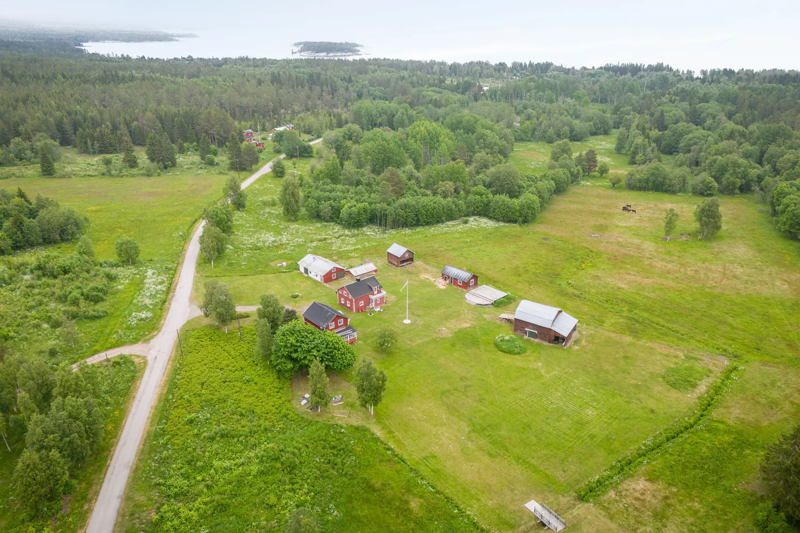 Gård/Skog, Mällby 539, Timrå