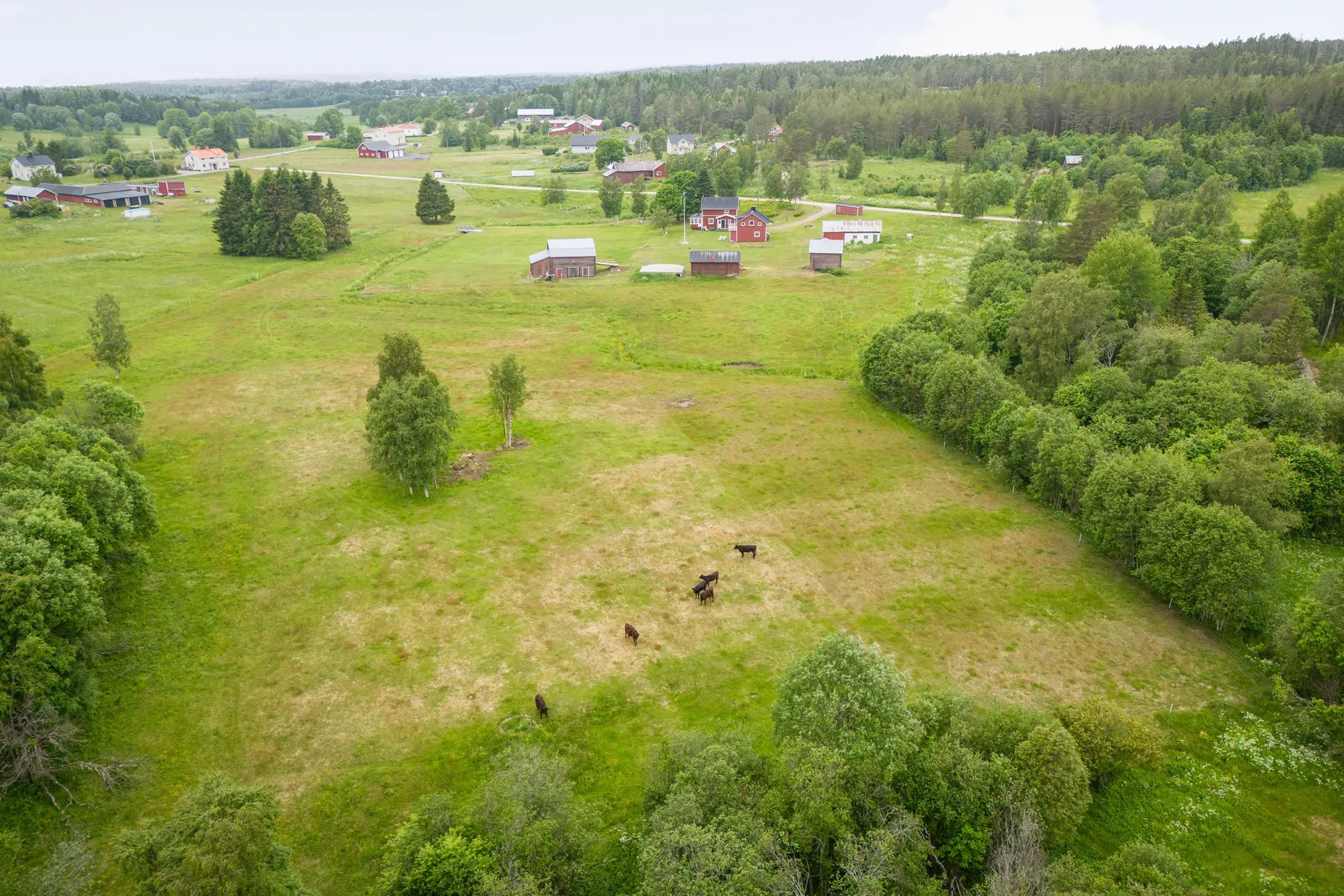 Gård/Skog, Mällby 539, Timrå