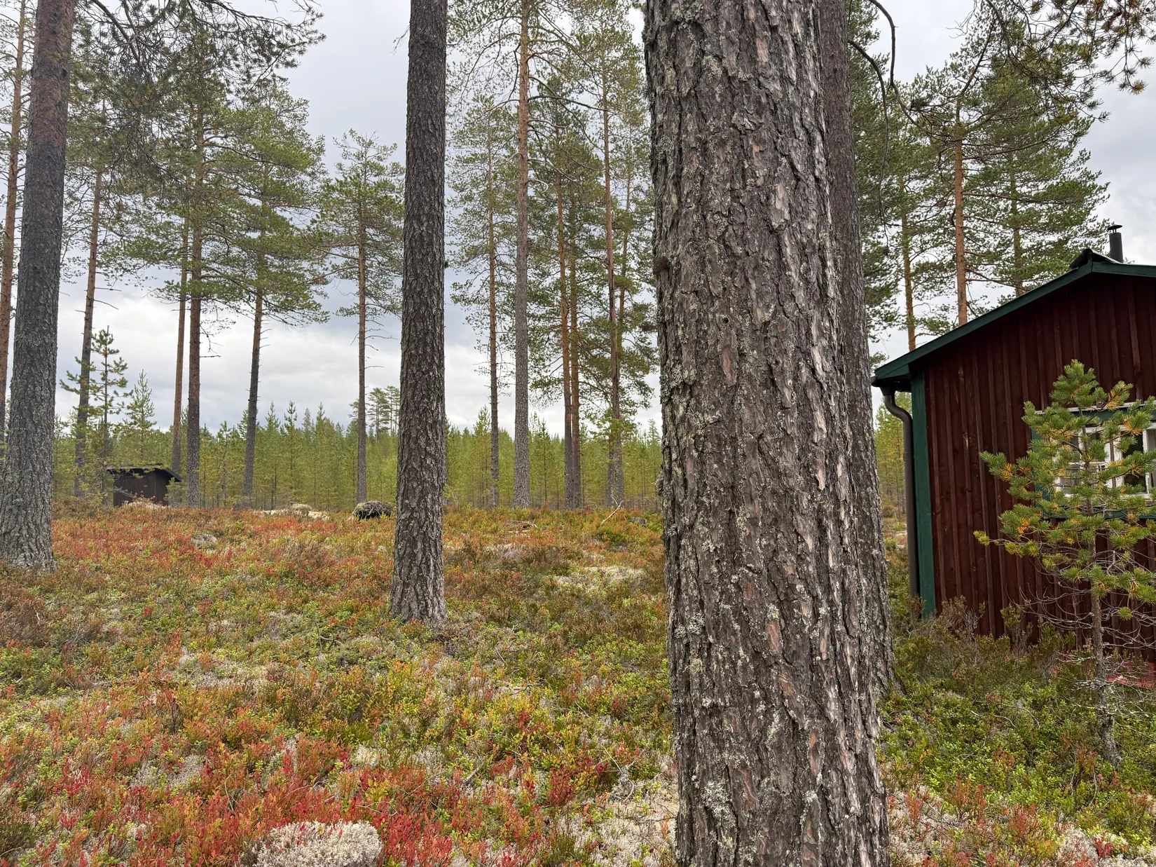 Fritidshus, Stuga Stortjärn, Stotjärn, Älvdalen