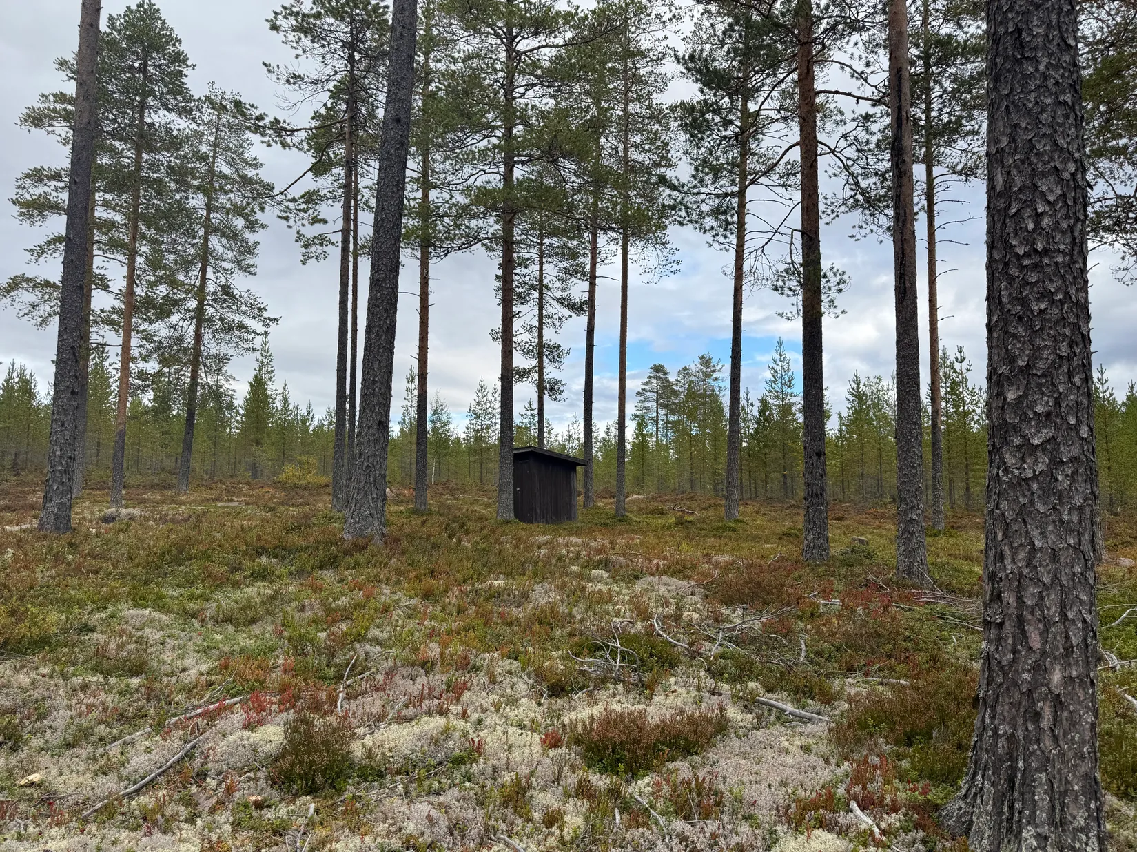Fritidshus, Stuga Stortjärn, Stotjärn, Älvdalen