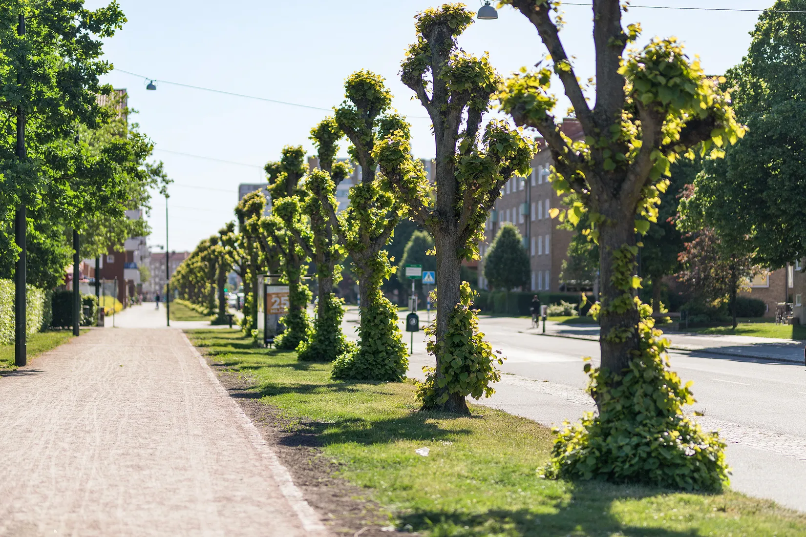 Radhus, Köpenhamnsvägen 67B, Friluftsstaden, Malmö