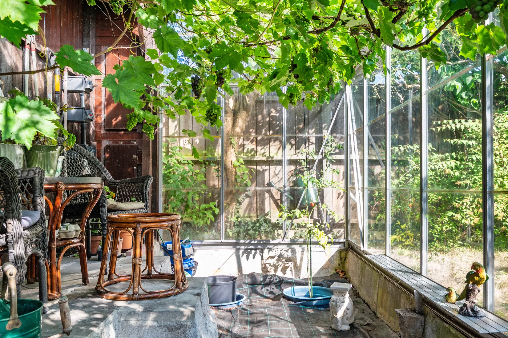 Radhus, Ciselörgatan 6, Limhamn, Malmö