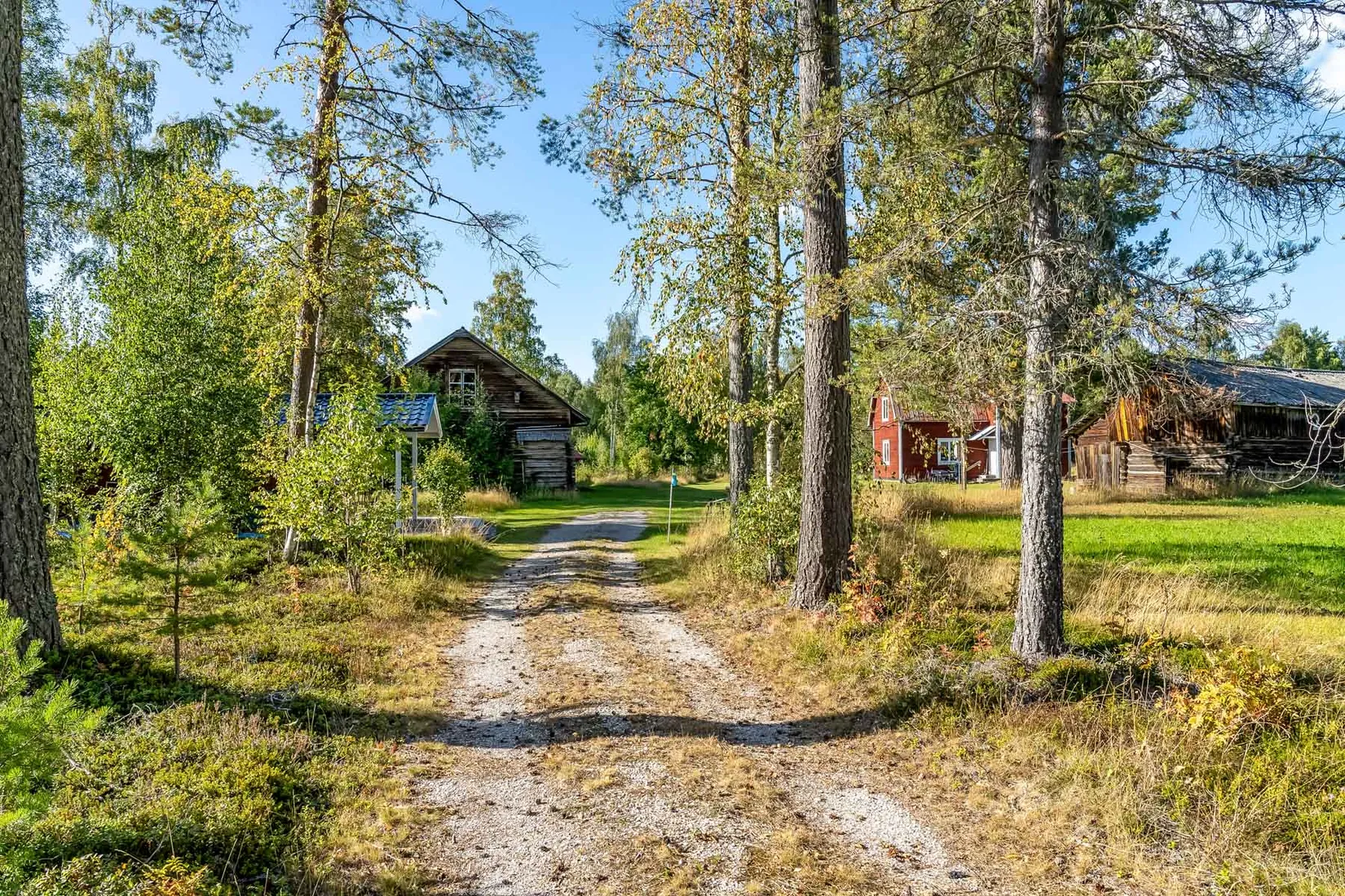 Gård/Skog, Näset Sandnäsvägen 2, Rättvik