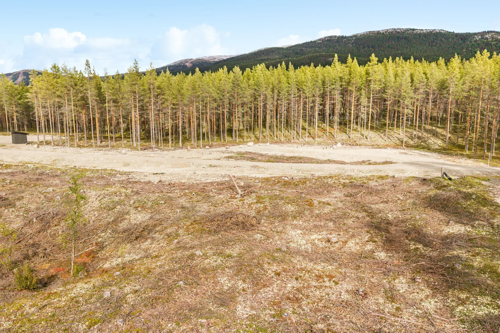 Tomt, Vålkojan 650, Härjedalen