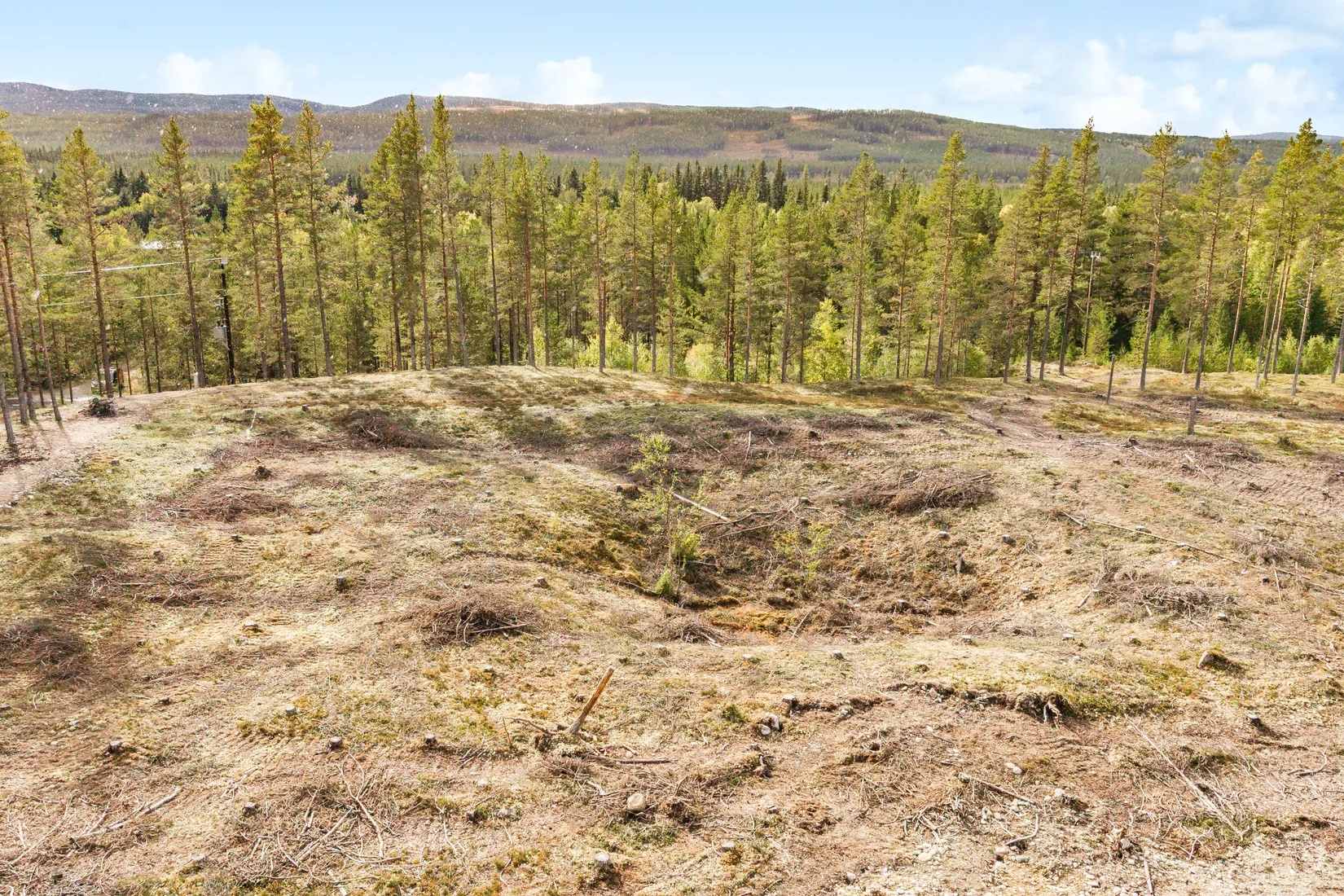 Tomt, Vålkojan 650, Härjedalen