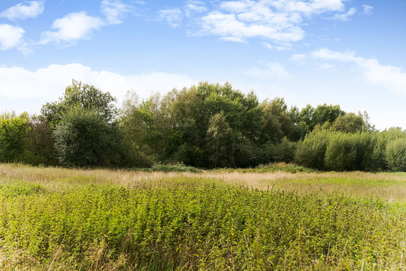 Gård/Skog, Snärshult 5098, Vittsjö, Hässleholm