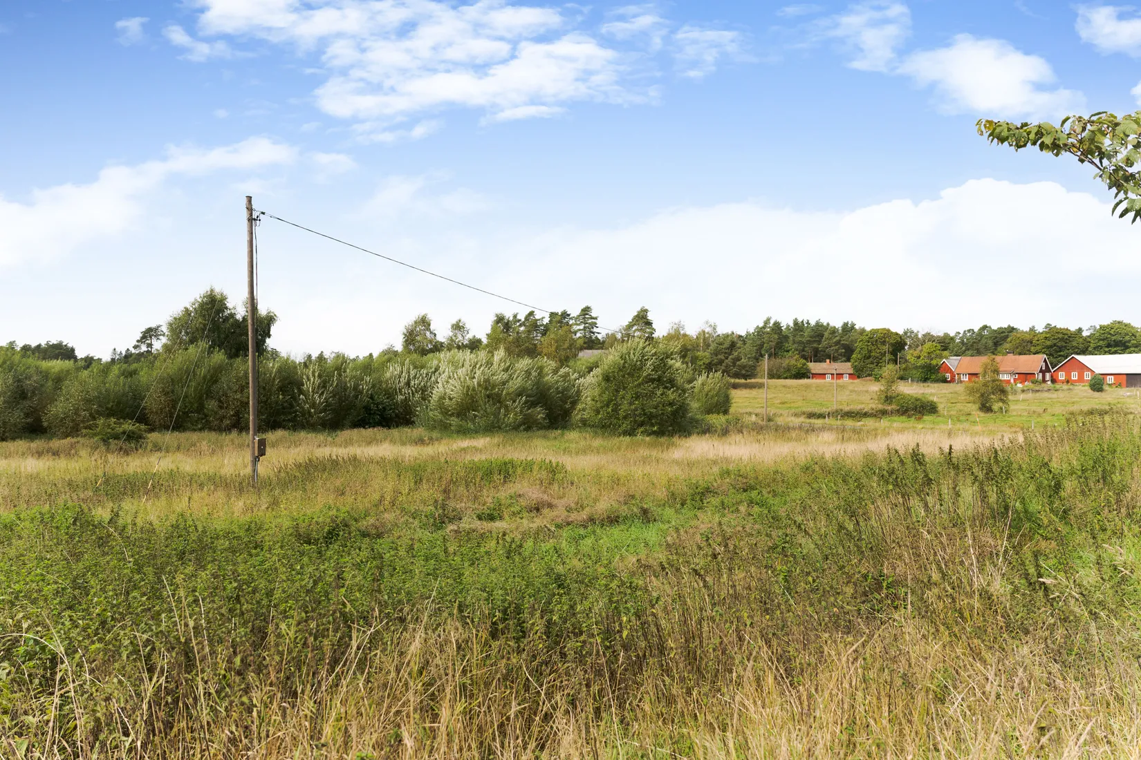 Gård/Skog, Snärshult 5098, Vittsjö, Hässleholm