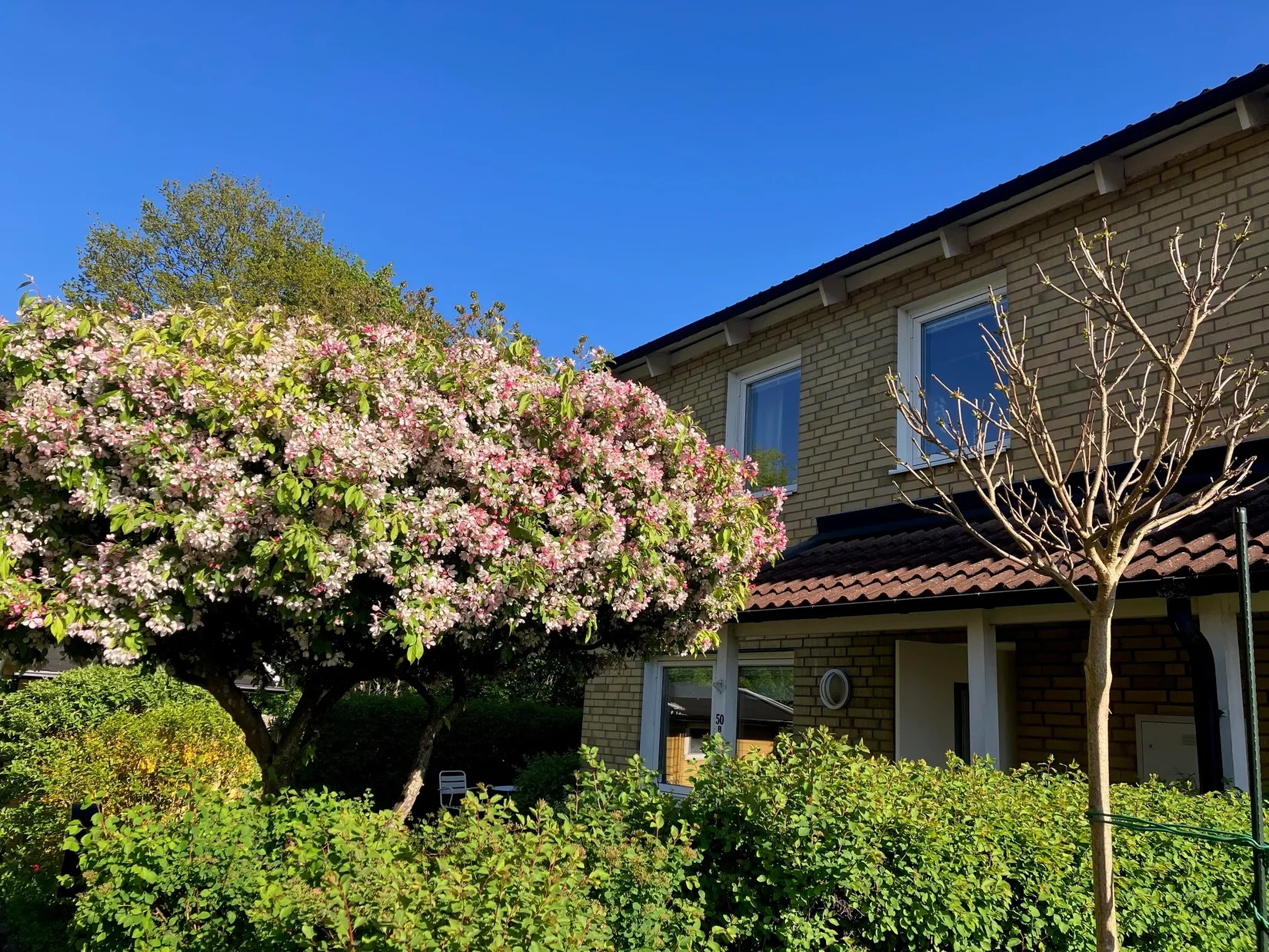 Villa, Kummelgatan 50B, Ramlösa, Helsingborg