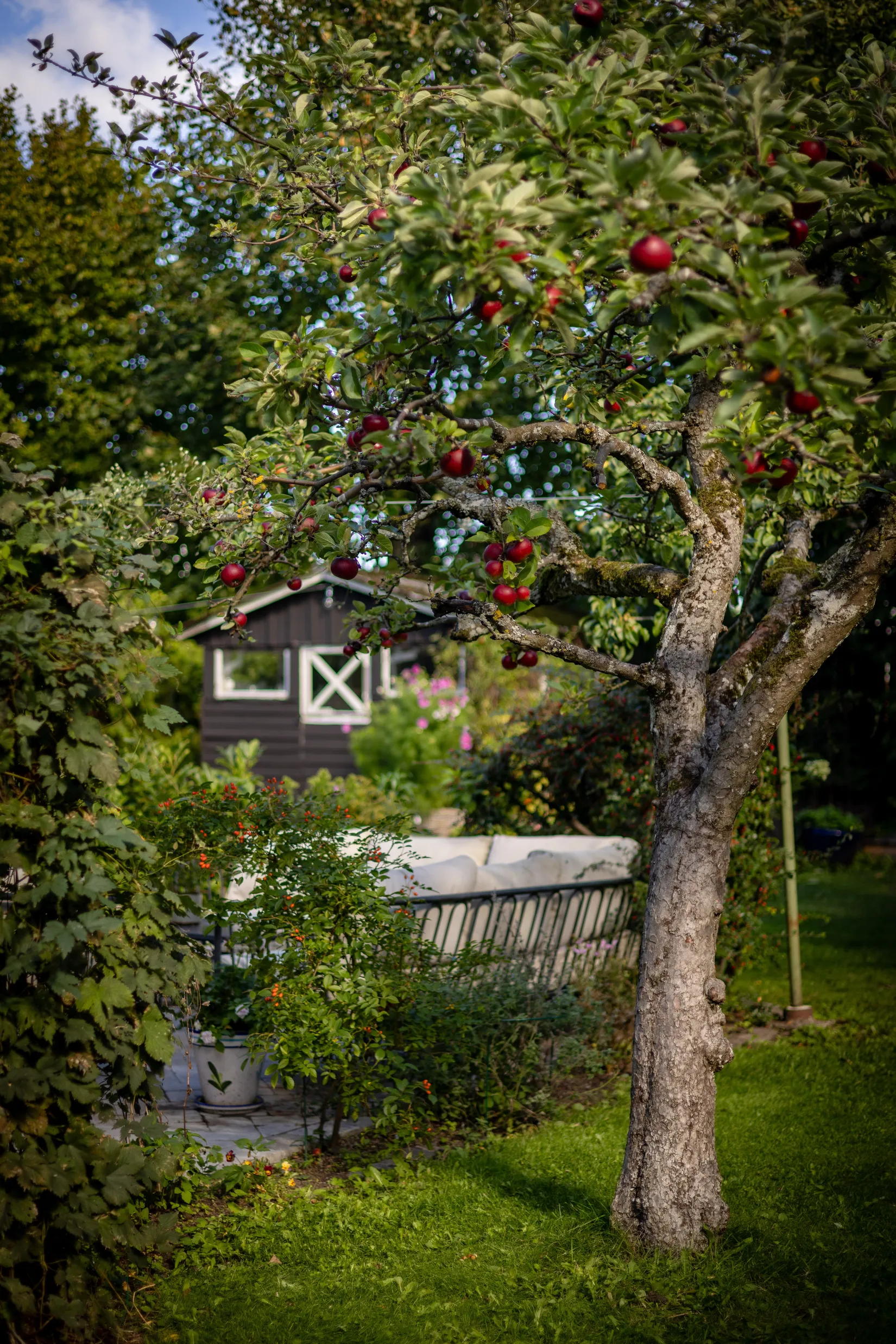 Villa, Petersburgsgatan 13, Centralt/Nyatorp, Halmstad