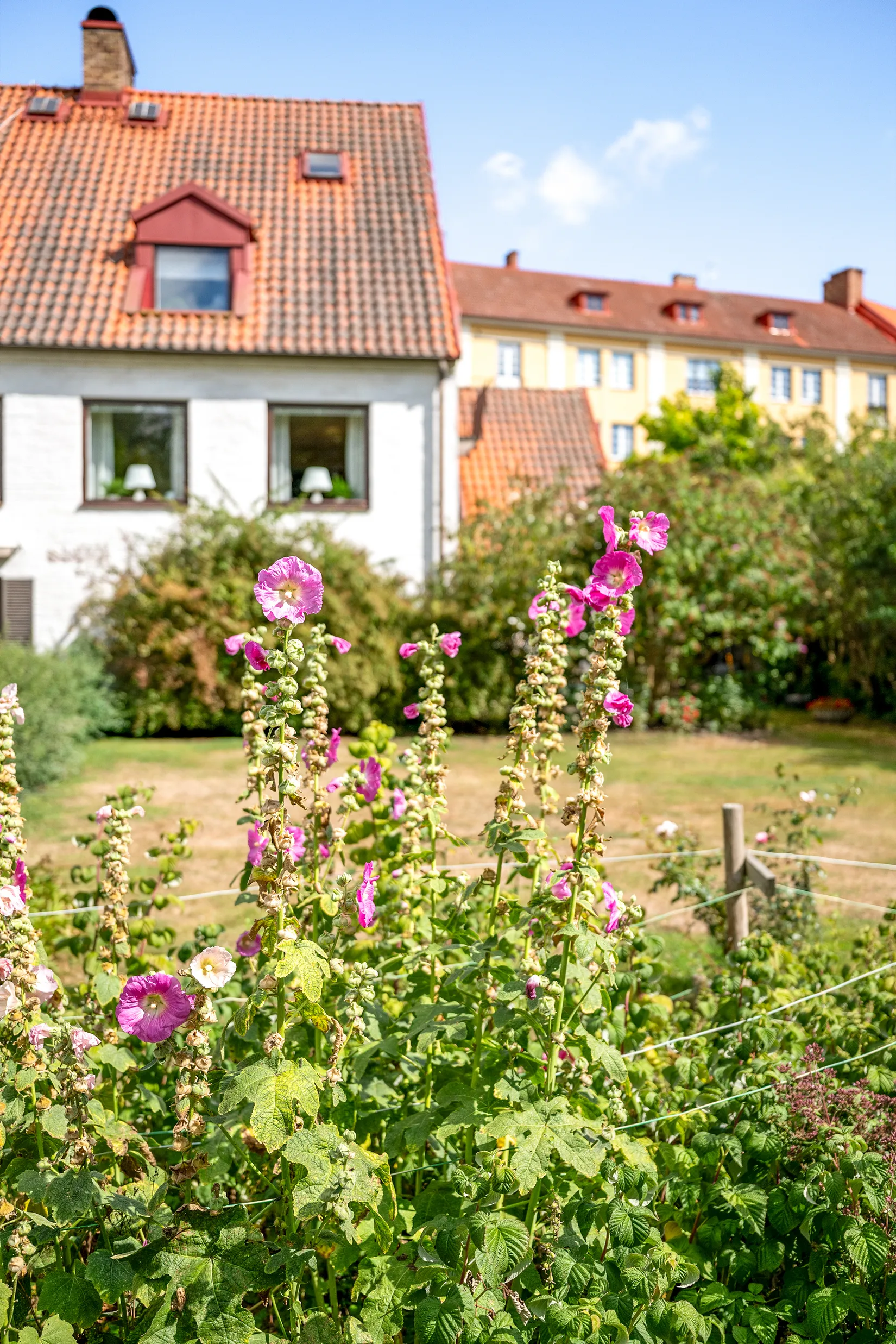 Radhus, Vasagatan 14B, Östermalm, Kristianstad