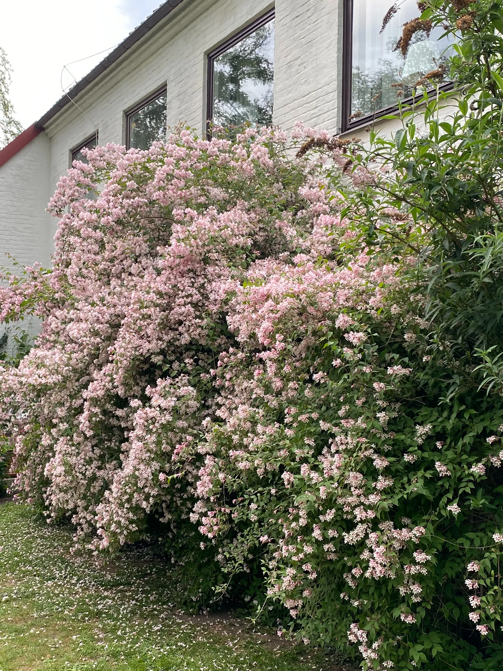 Radhus, Vasagatan 14B, Östermalm, Kristianstad