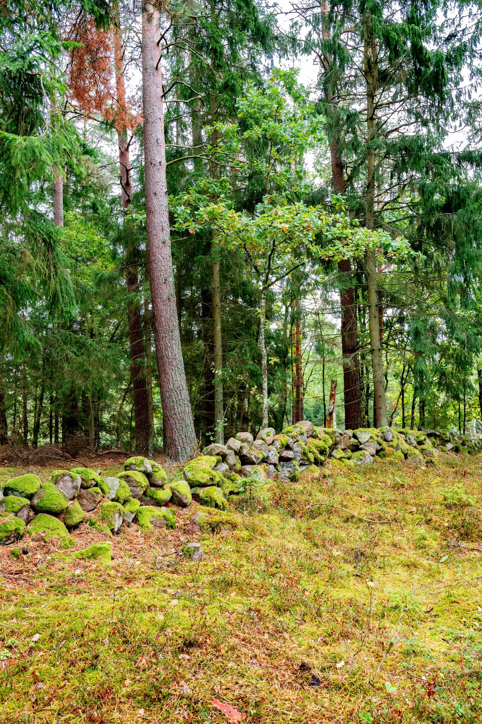 Fritidshus, Lekåsa Skattegården 830, Lekåsa, Essunga