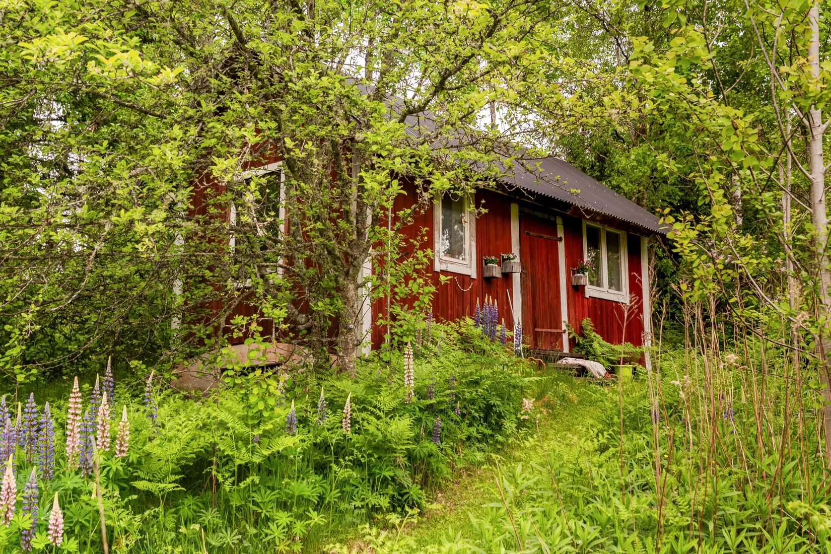 Gård/Skog, Glanshammars-Hult 339, Glanshammar, Örebro