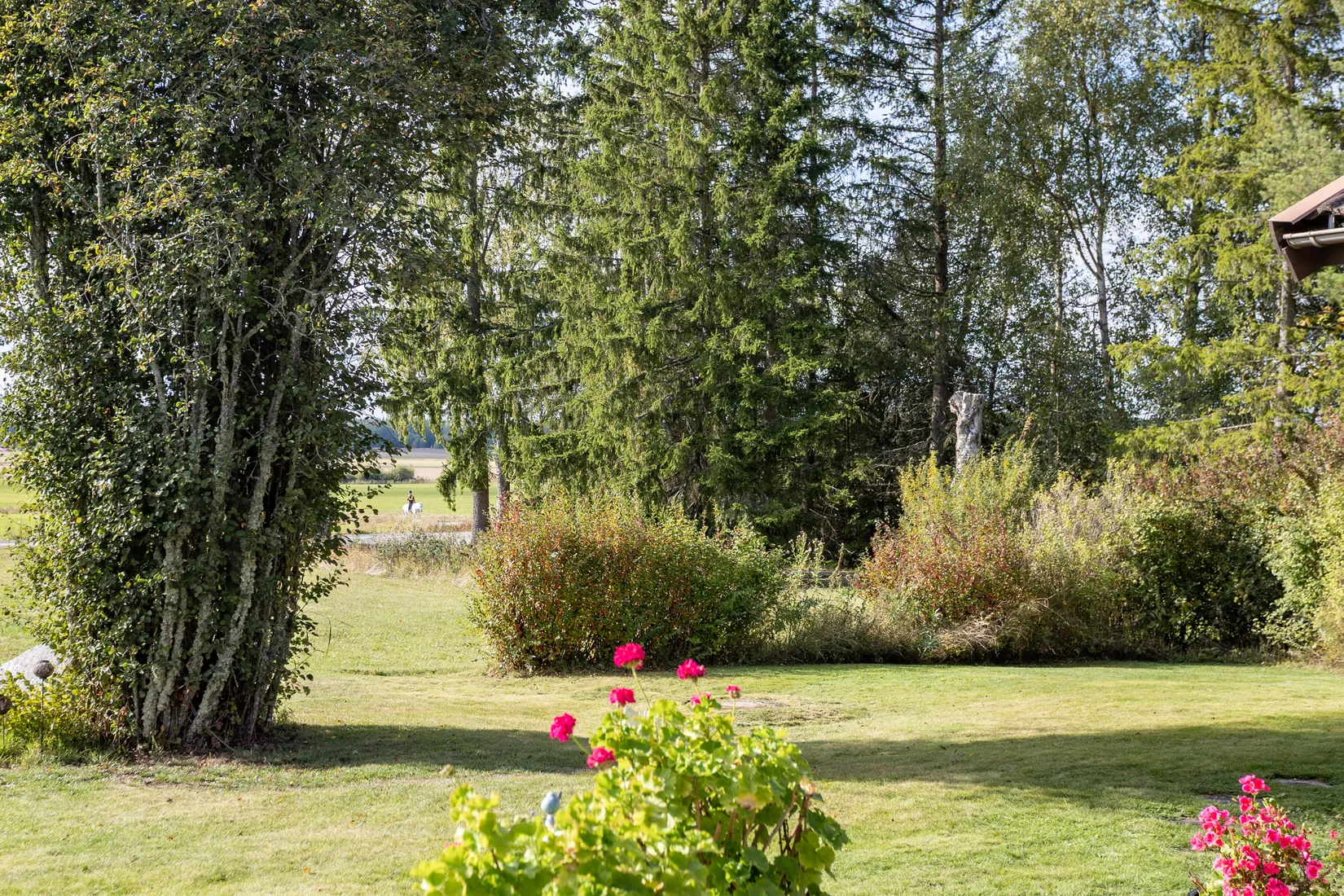 Villa, Kivsta Backbo 130, Kivsta, Sala