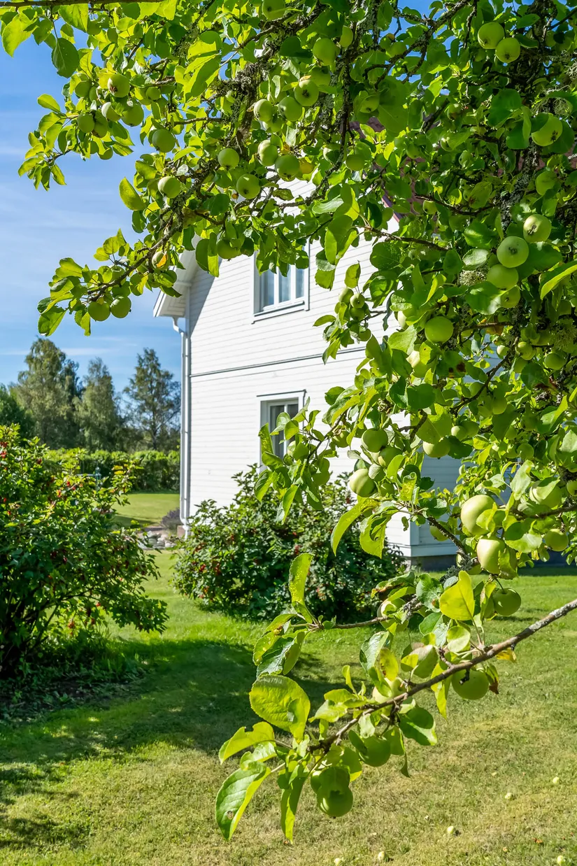 Gård/Skog, Lenåsvägen 96, Lenåsen, Rättvik
