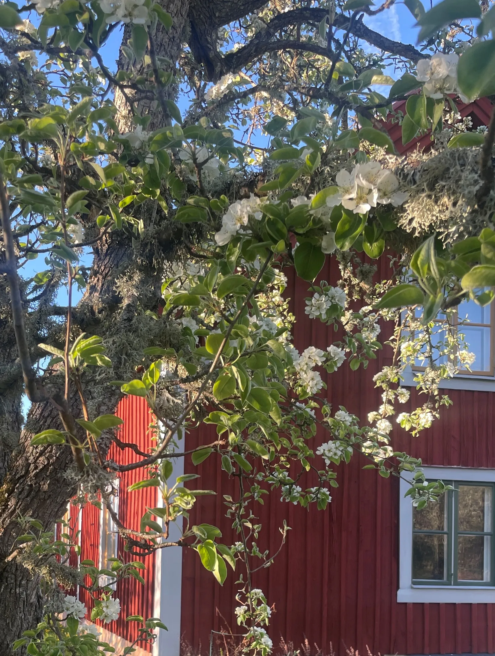 Villa, Kögenäs 3, Svartmåla, Linköping