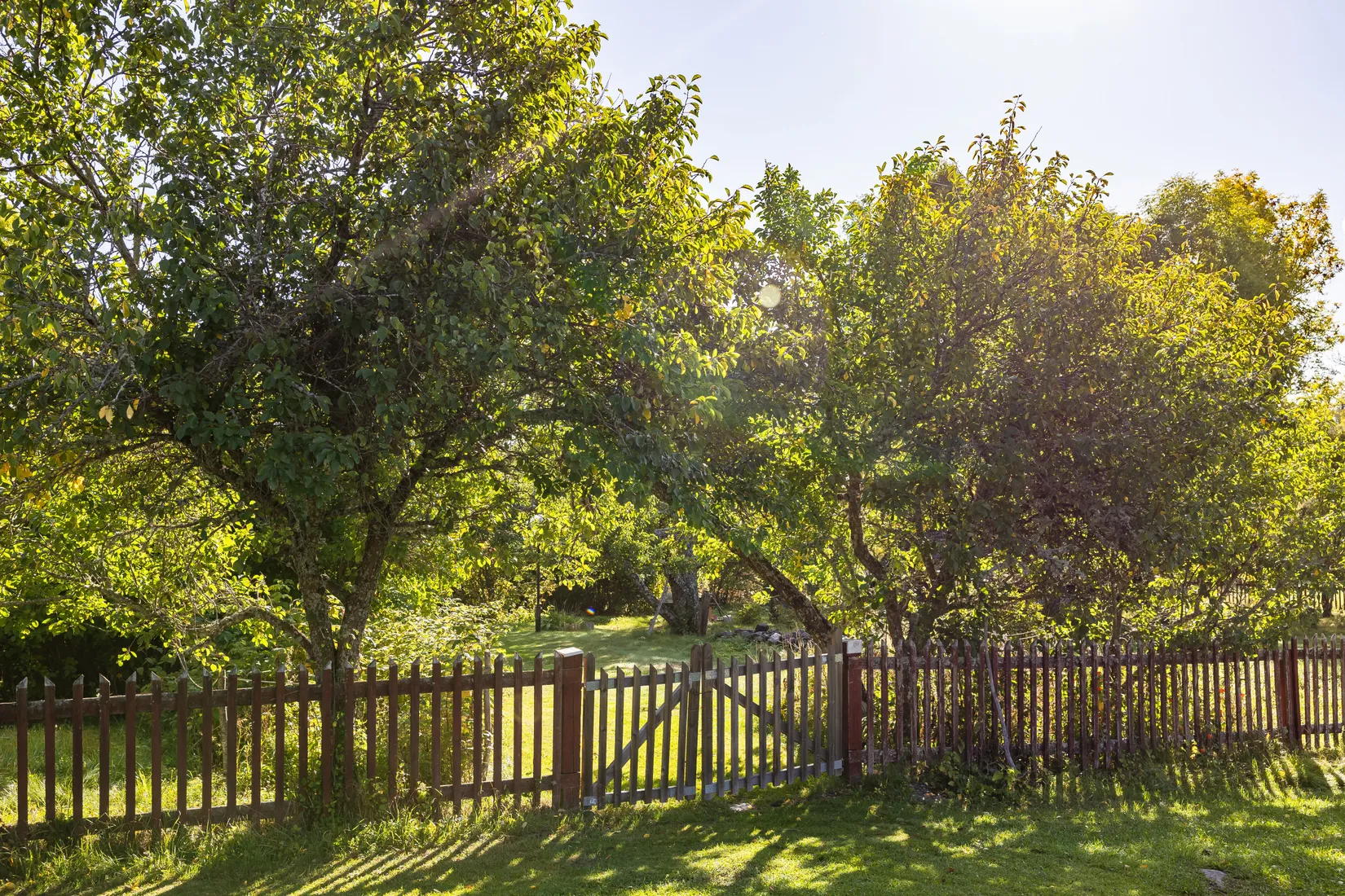 Gård/Skog, Kavarö 203, Öregrund, Östhammar