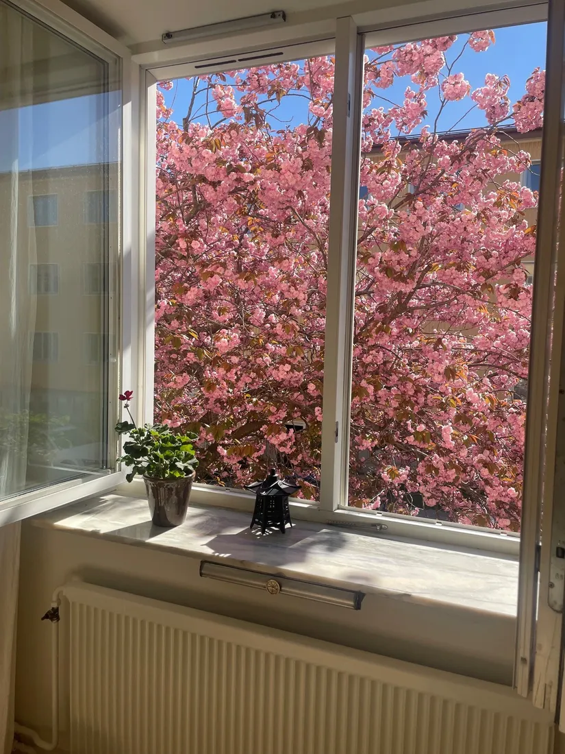 Bostadsrätt, Råggatan 12, Södermalm - Skanstull, Stockholm