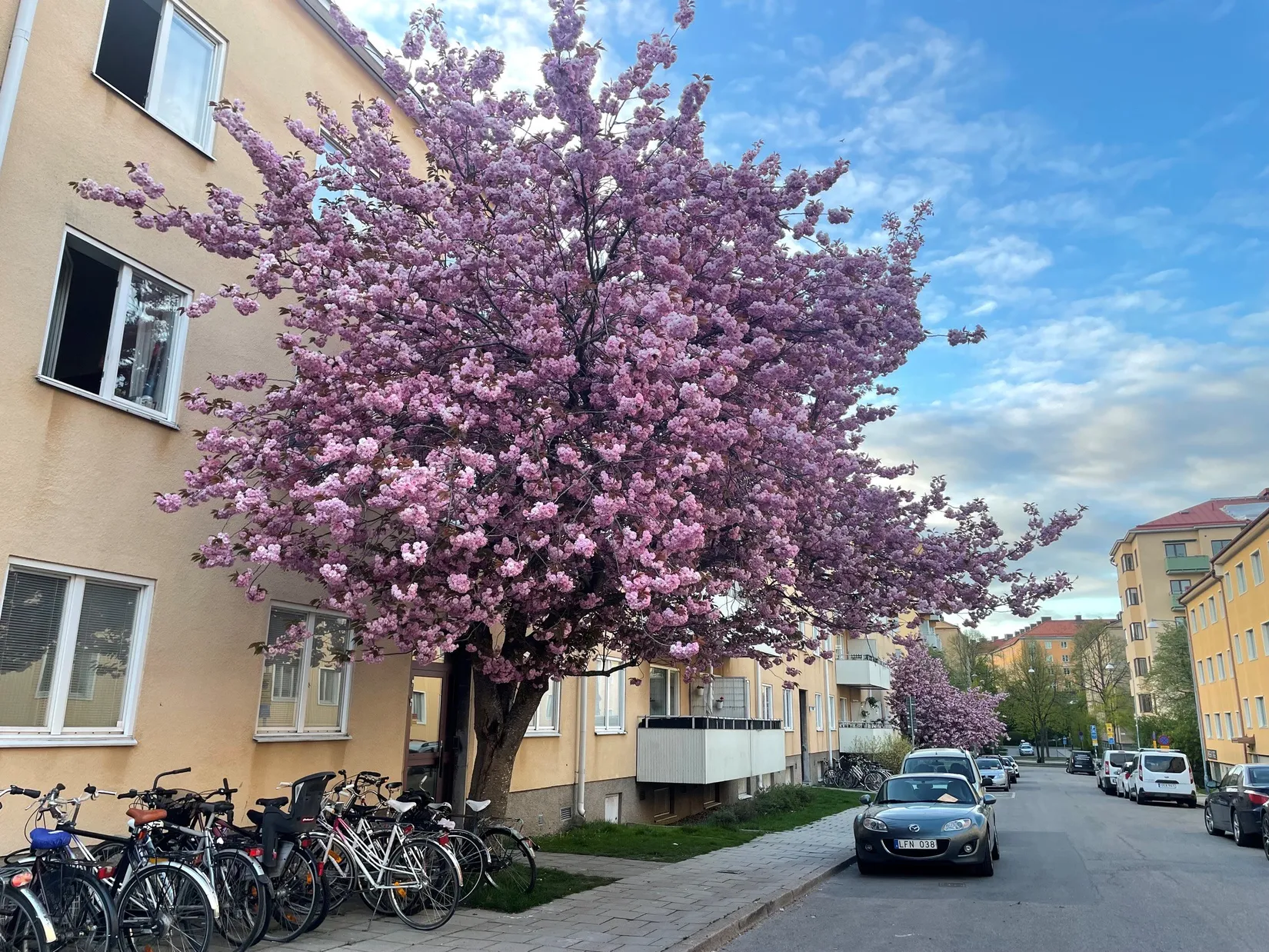 Bostadsrätt, Råggatan 12, Södermalm - Skanstull, Stockholm