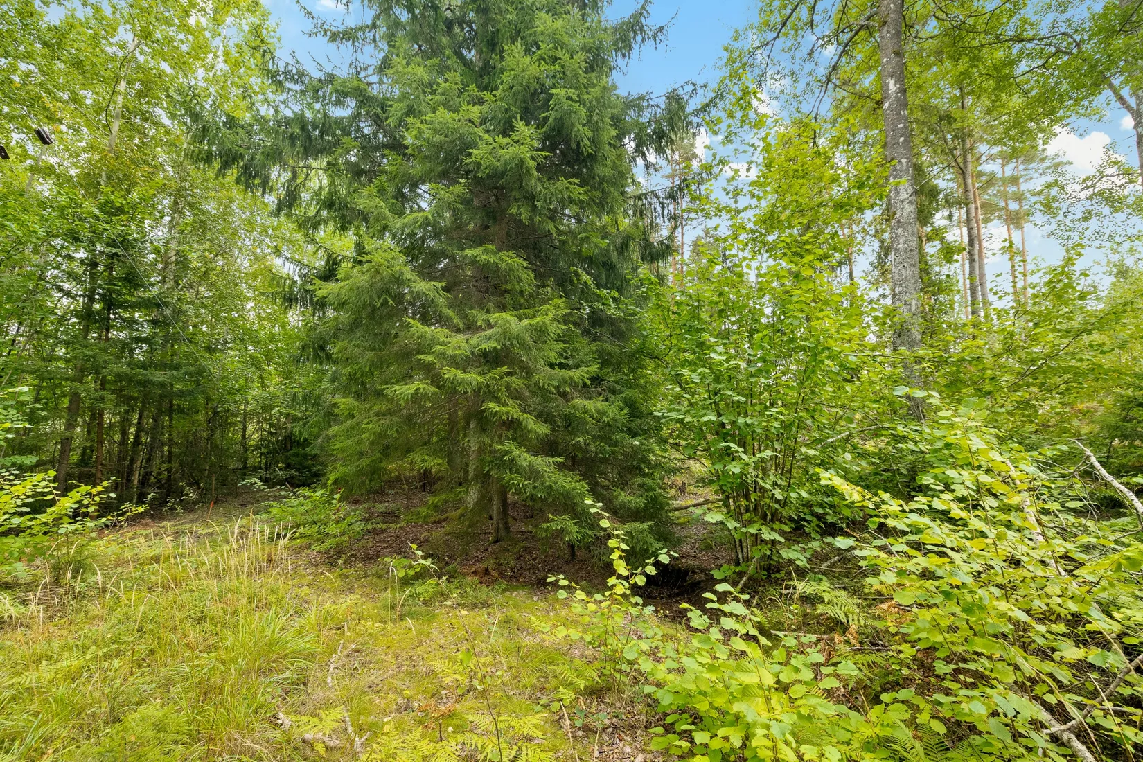 Tomt, Dyviksvägen 153, Dyvik, Österåker
