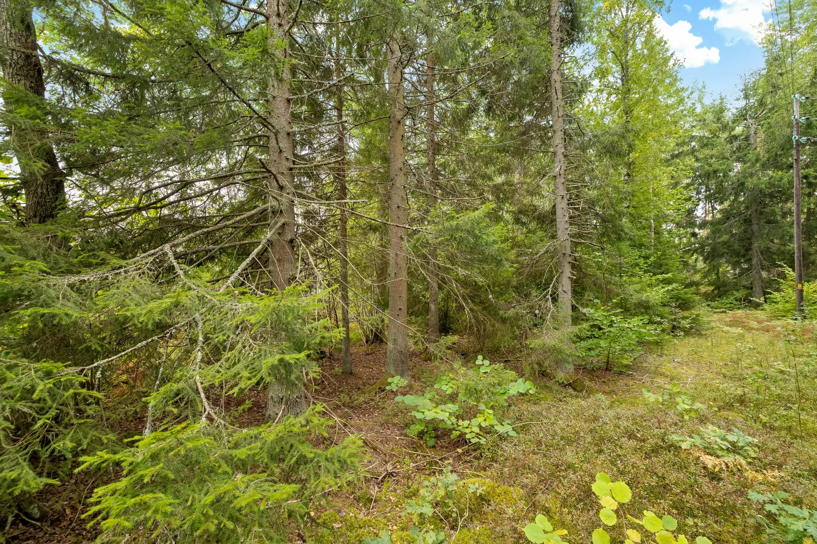 Tomt, Dyviksvägen 153, Dyvik, Österåker