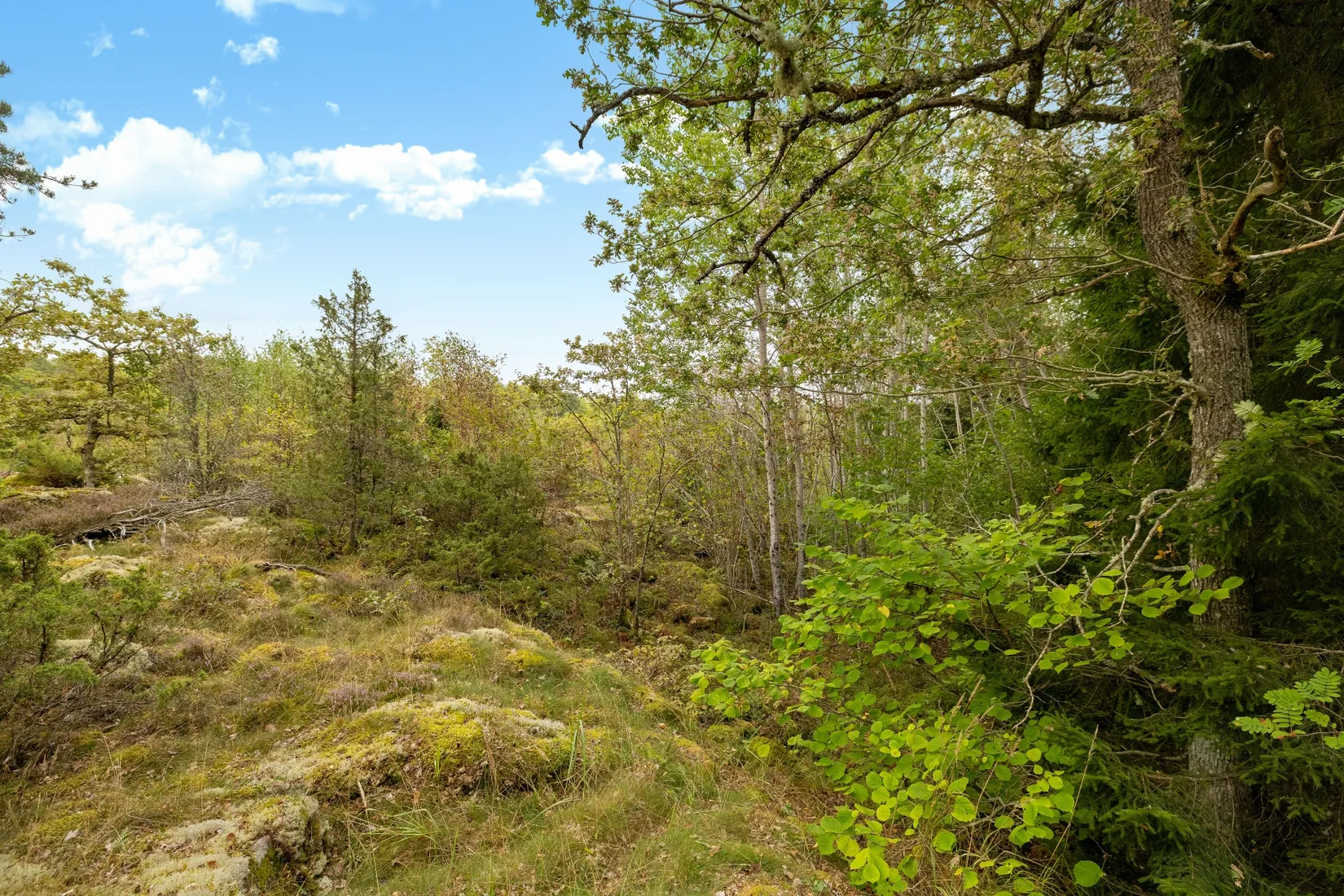 Tomt, Dyviksvägen 153, Dyvik, Österåker