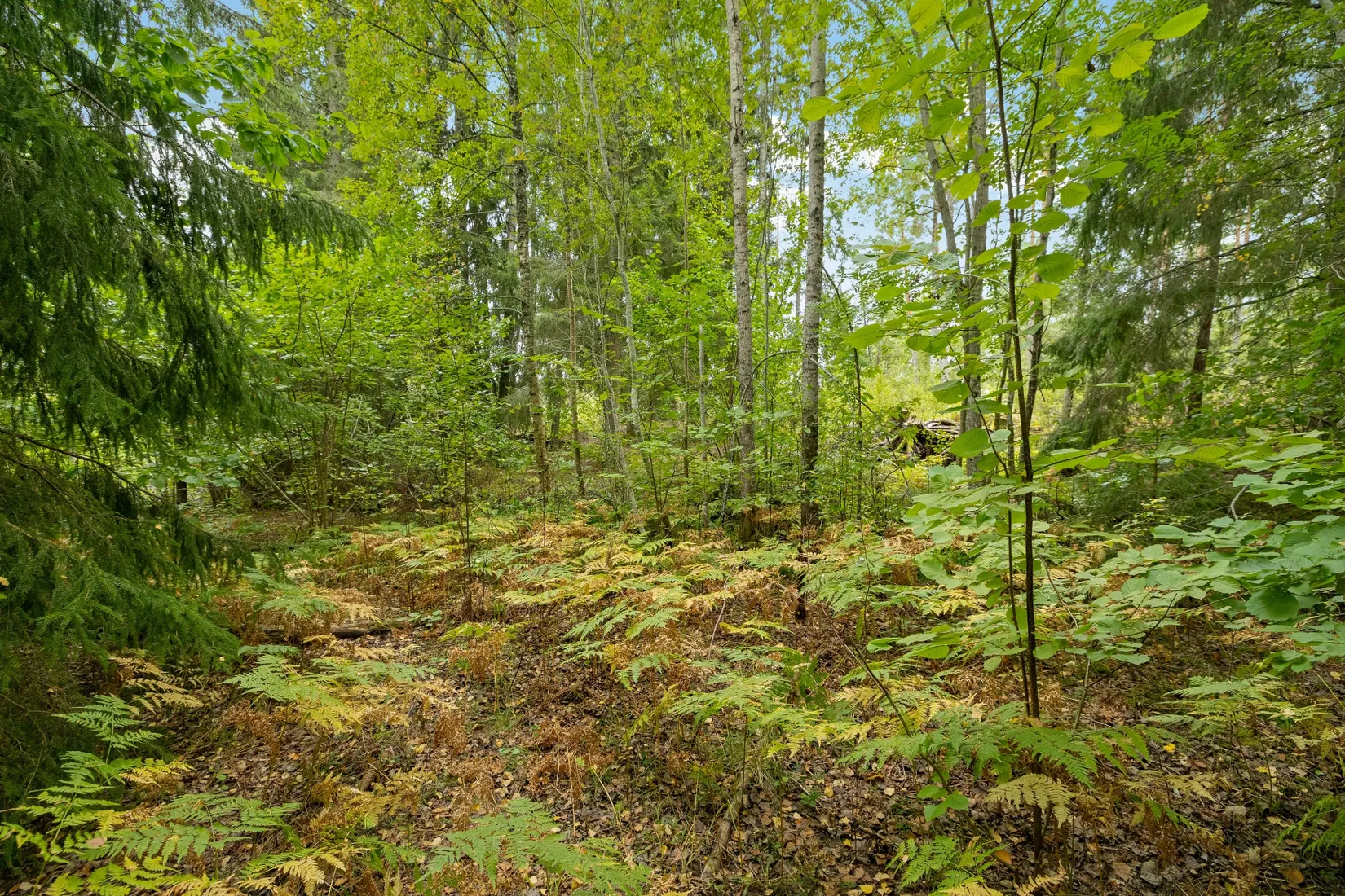 Tomt, Dyviksvägen 153, Dyvik, Österåker