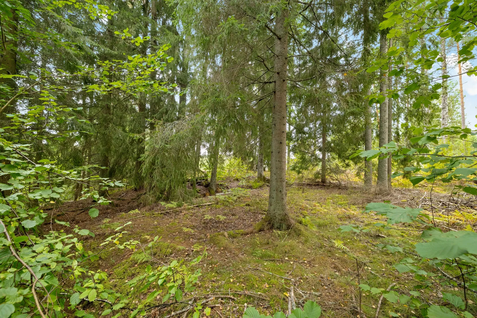 Tomt, Dyviksvägen 153, Dyvik, Österåker