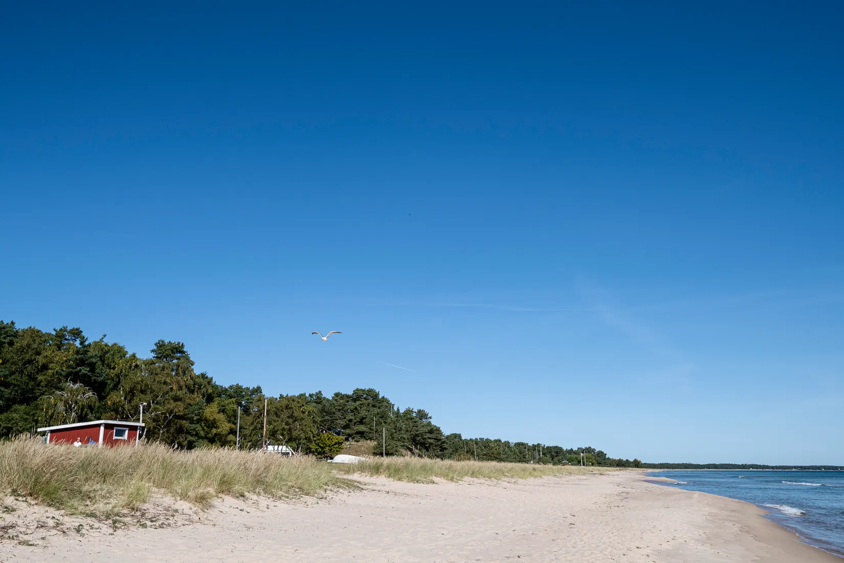 Radhus, Älgörtsvägen 10a, Åhus - Täppet, Kristianstad
