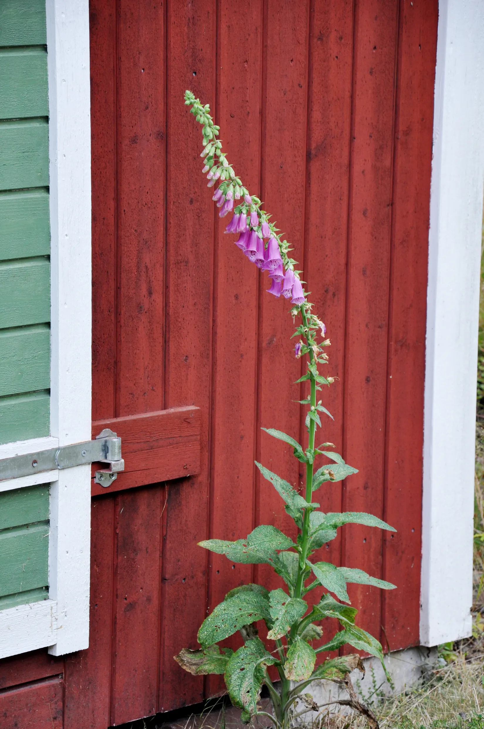 Villa, Älgvägen 9, Åsen. Läs mer på: www.åsen.com, Håbo