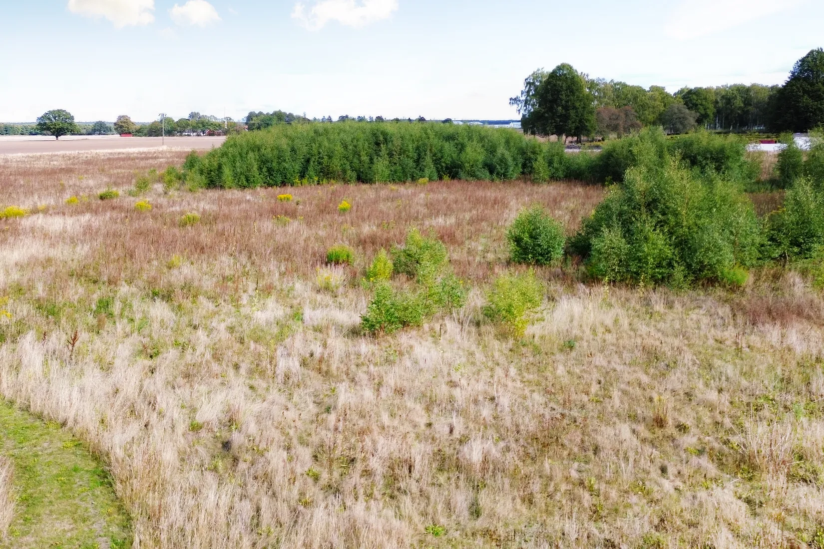 Tomt, Prostgatan 5, Vinslöv, Hässleholm