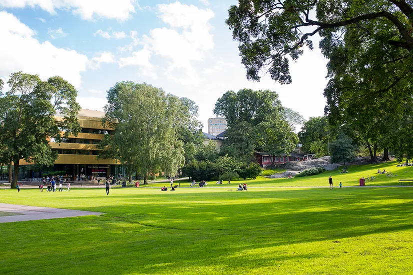 Bostadsrätt, Tomtebogatan 34C, Vasastan Birkastan, Stockholm