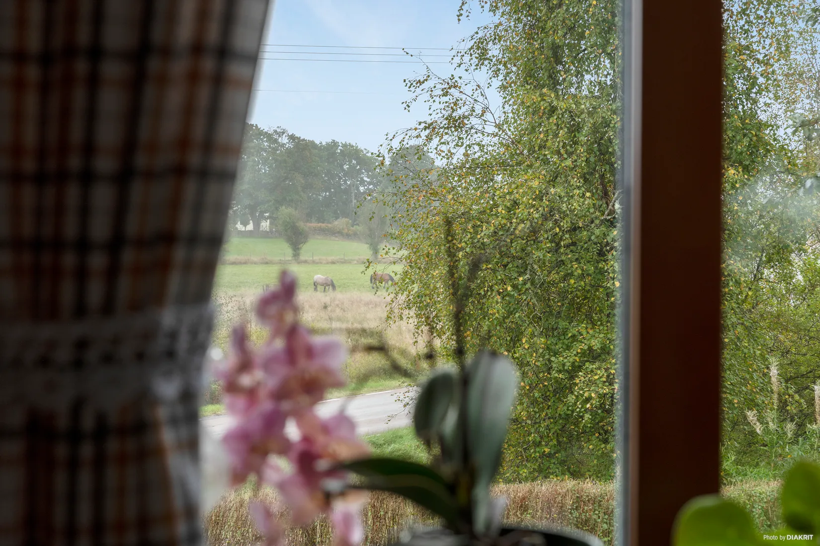 Villa, Landeryd Skogshyddan, Landeryd, Hylte