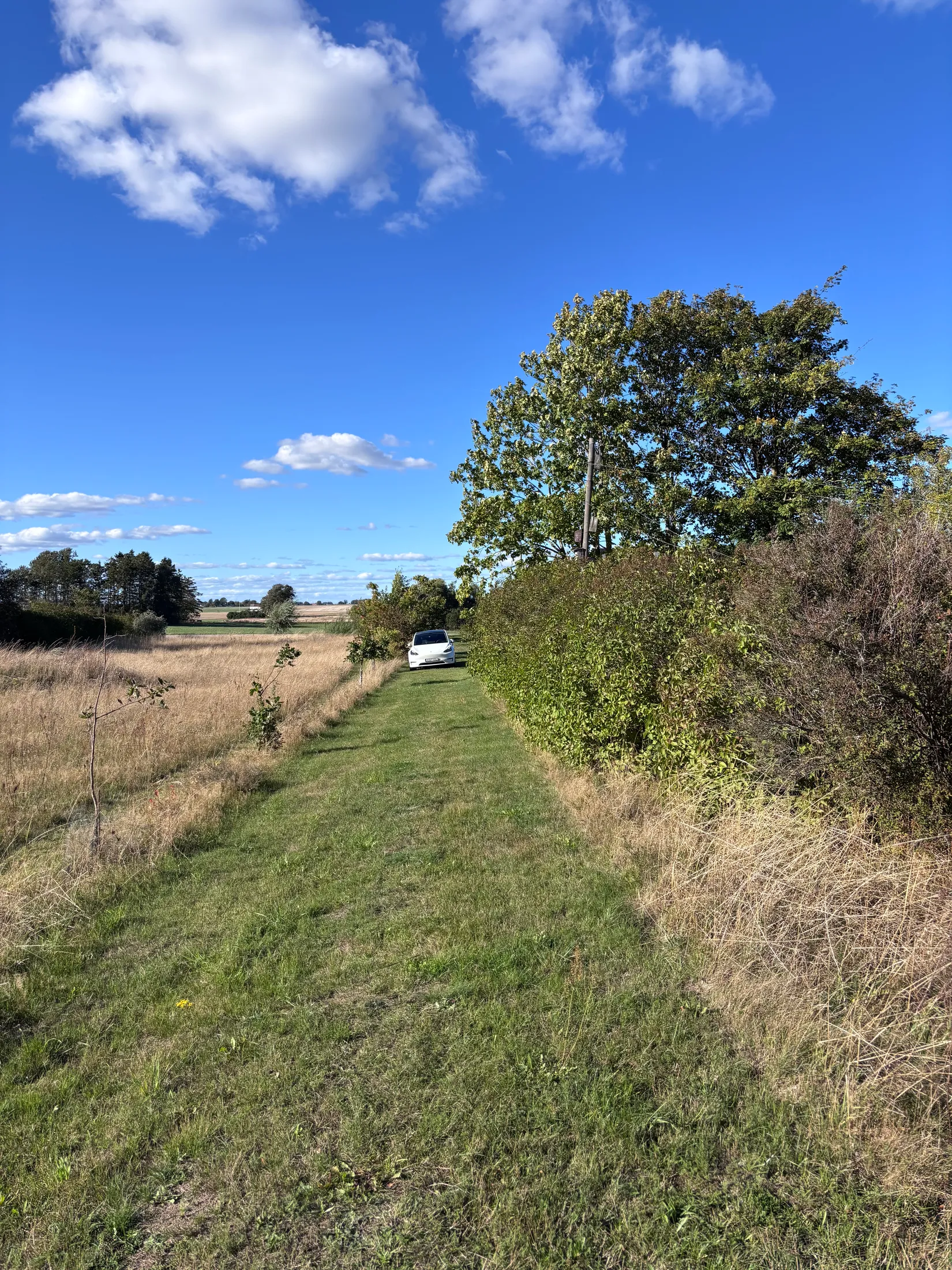 Tomt, Östra kustvägen 1378 B, Sandhammaren, Ystad