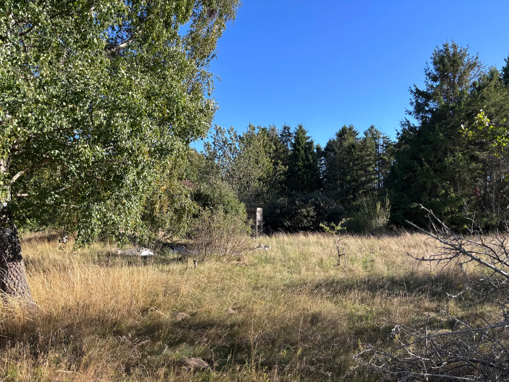 Tomt, Östra kustvägen 1378 B, Sandhammaren, Ystad