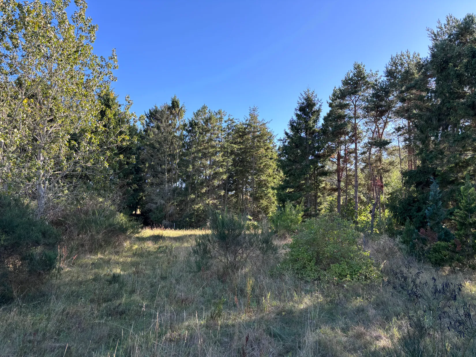 Tomt, Östra kustvägen 1378 B, Sandhammaren, Ystad