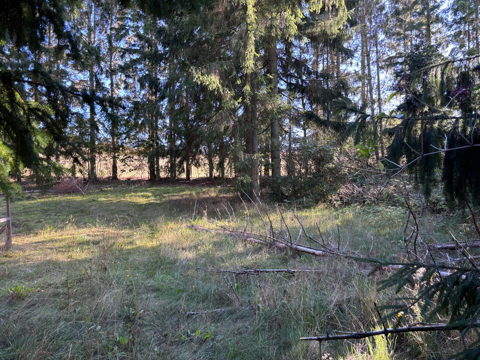 Tomt, Östra kustvägen 1378 B, Sandhammaren, Ystad