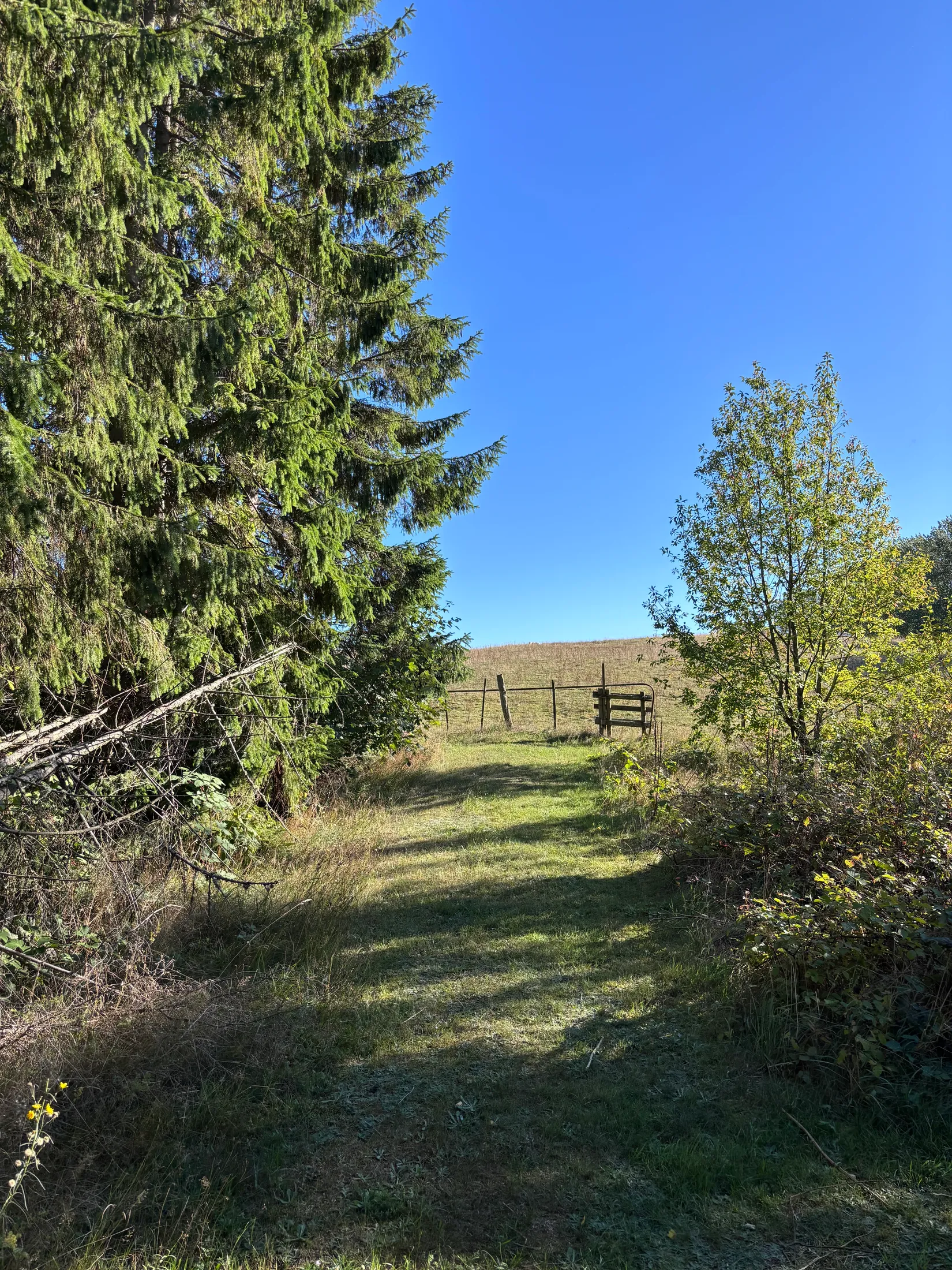Tomt, Östra kustvägen 1378 B, Sandhammaren, Ystad