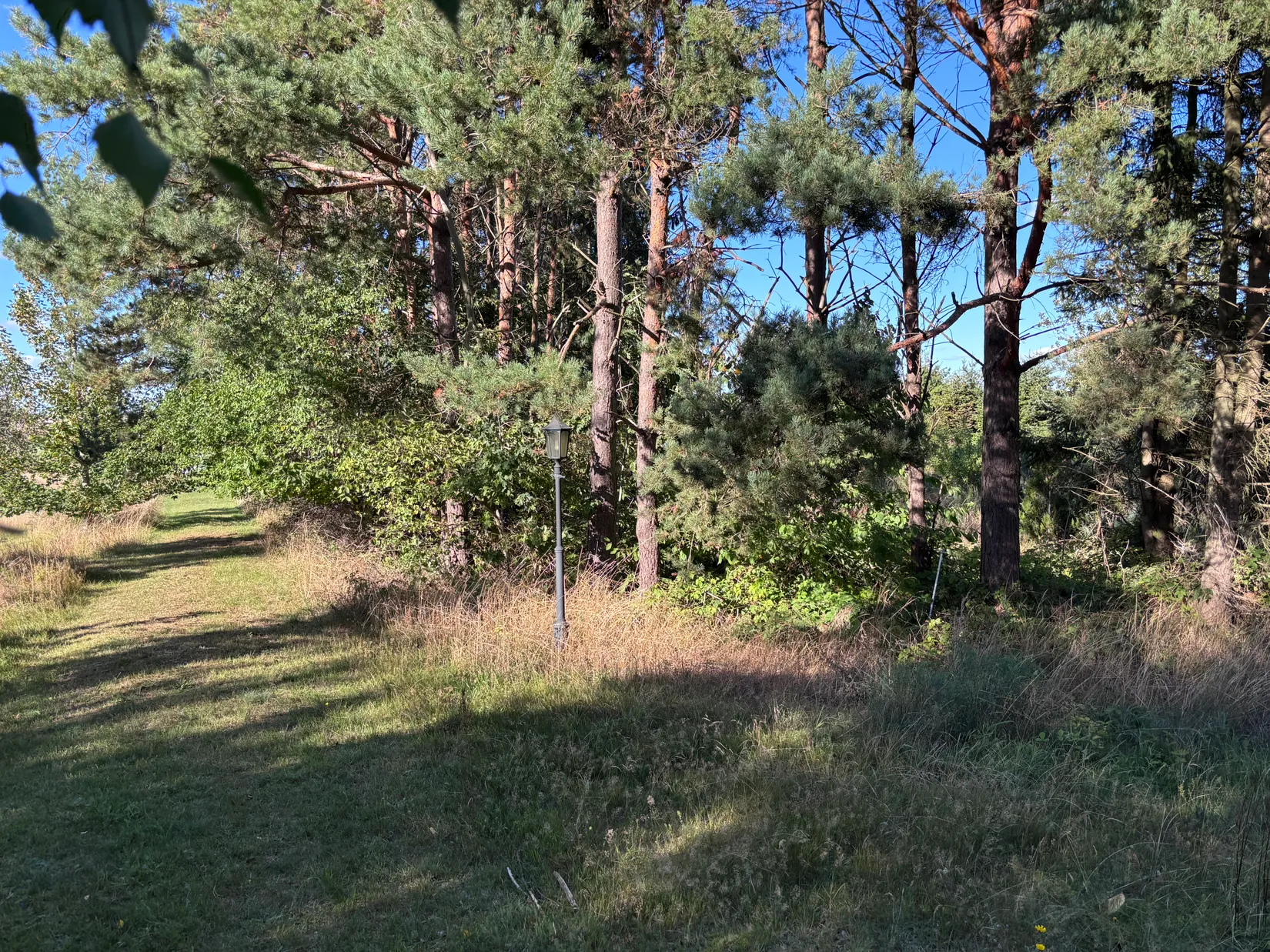 Tomt, Östra kustvägen 1378 B, Sandhammaren, Ystad